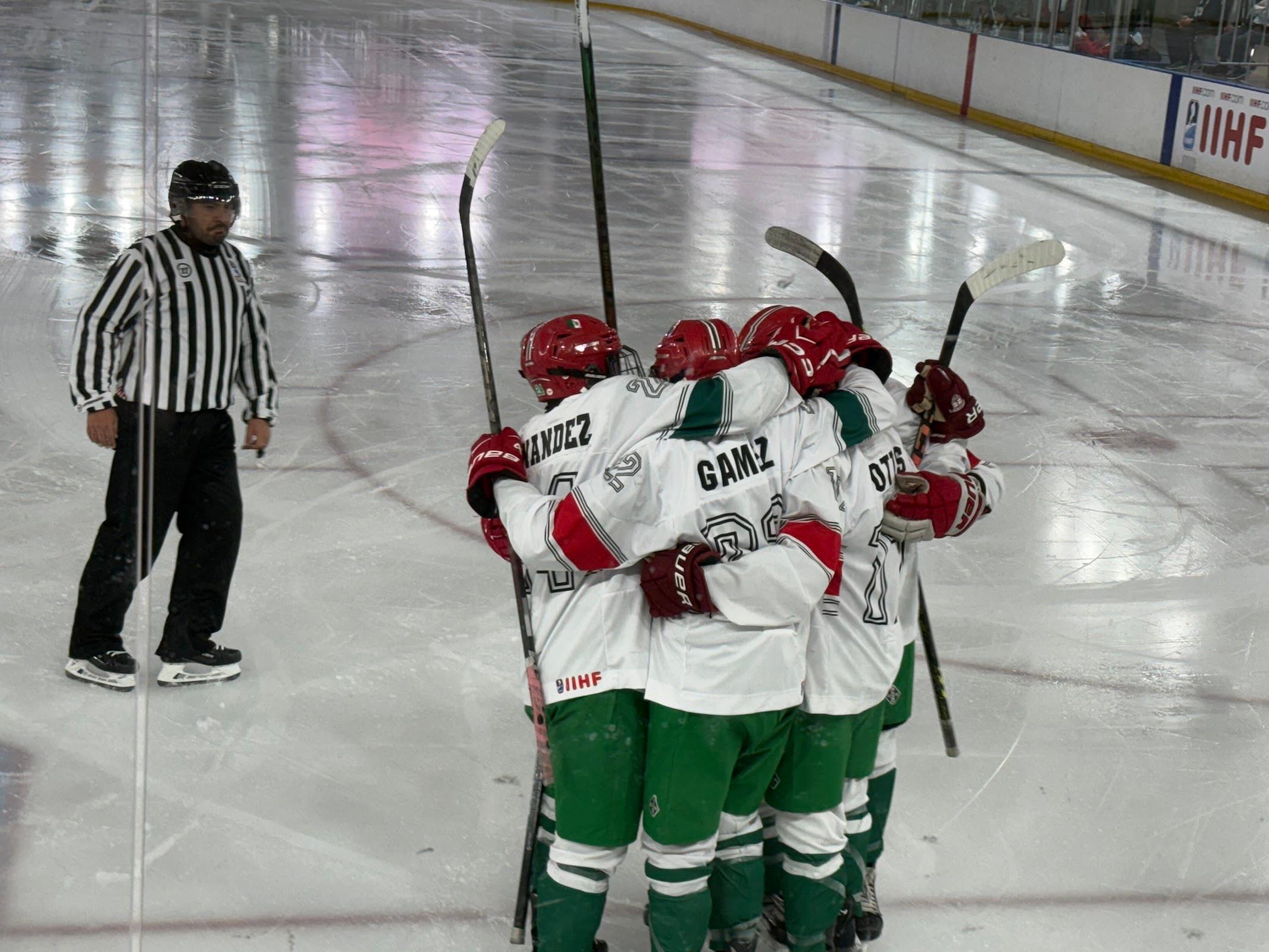 Pista de Hielo Santa Fe galería 5