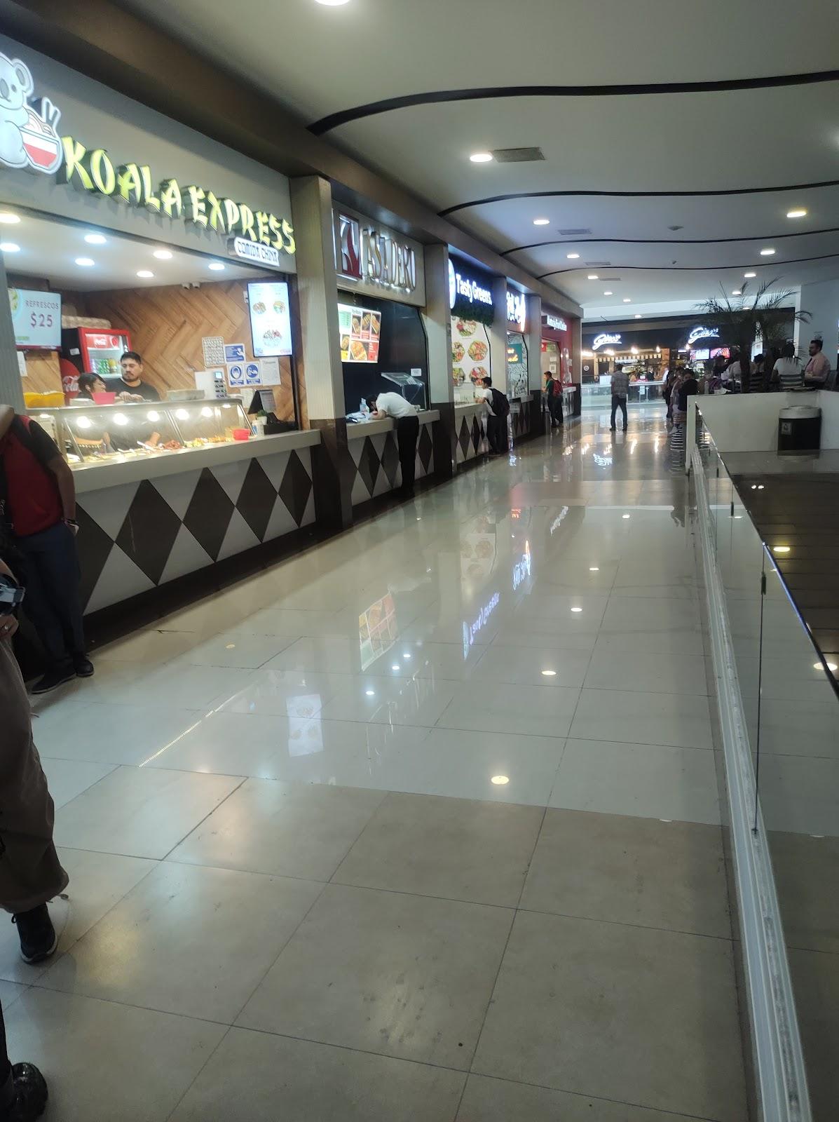 Pista de Hielo galería 4