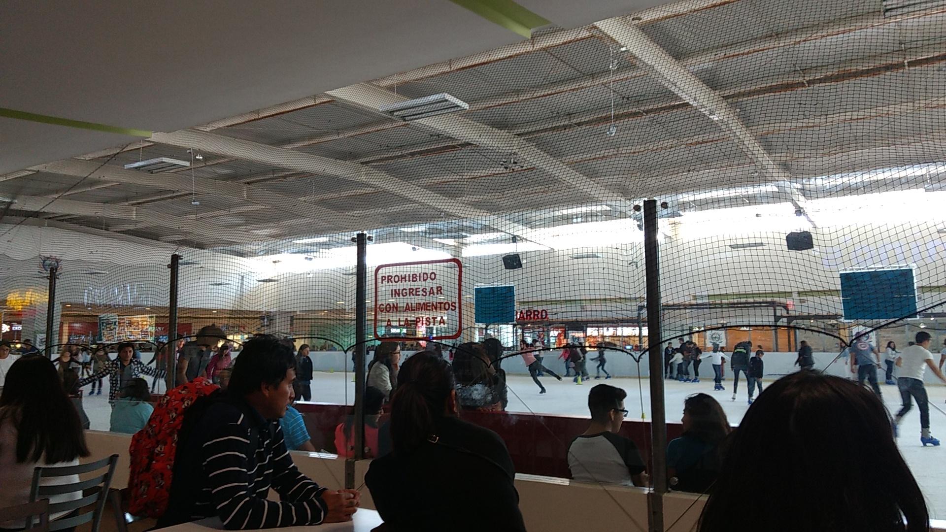 Pista de Hielo galería 5