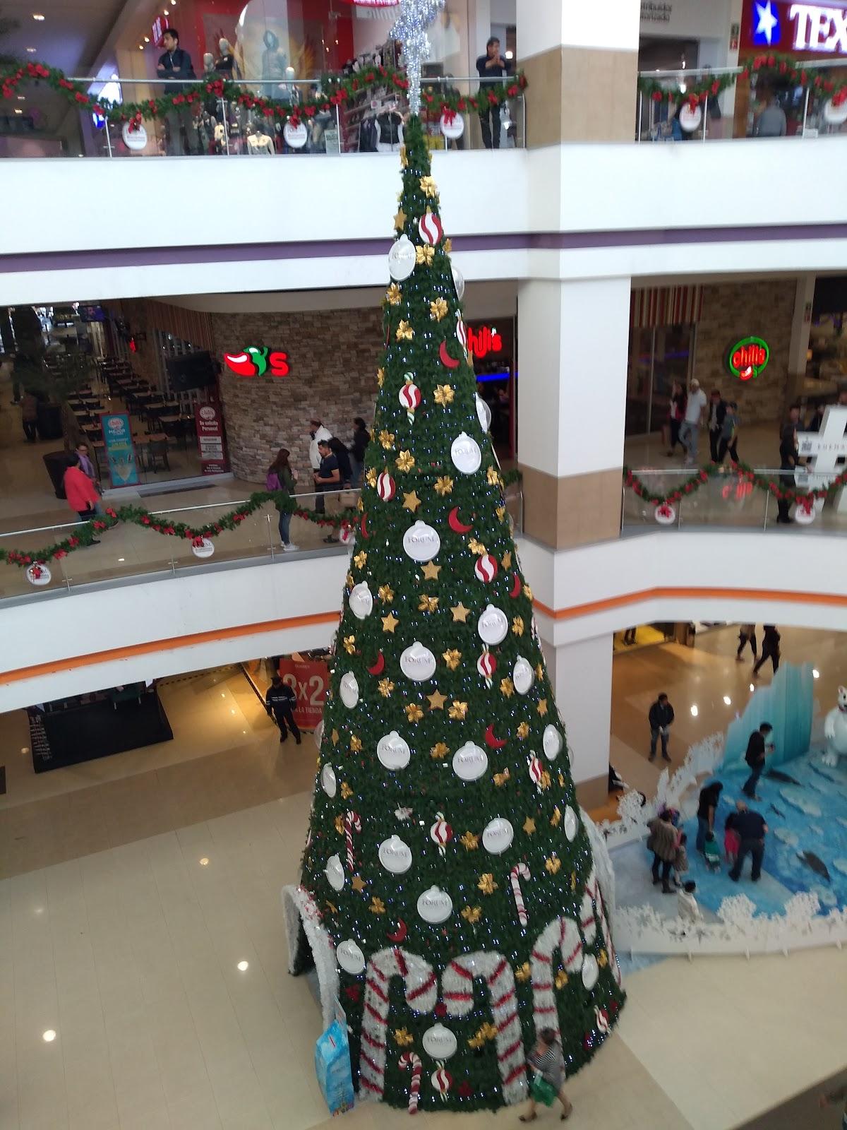 Pista de Hielo galería 9