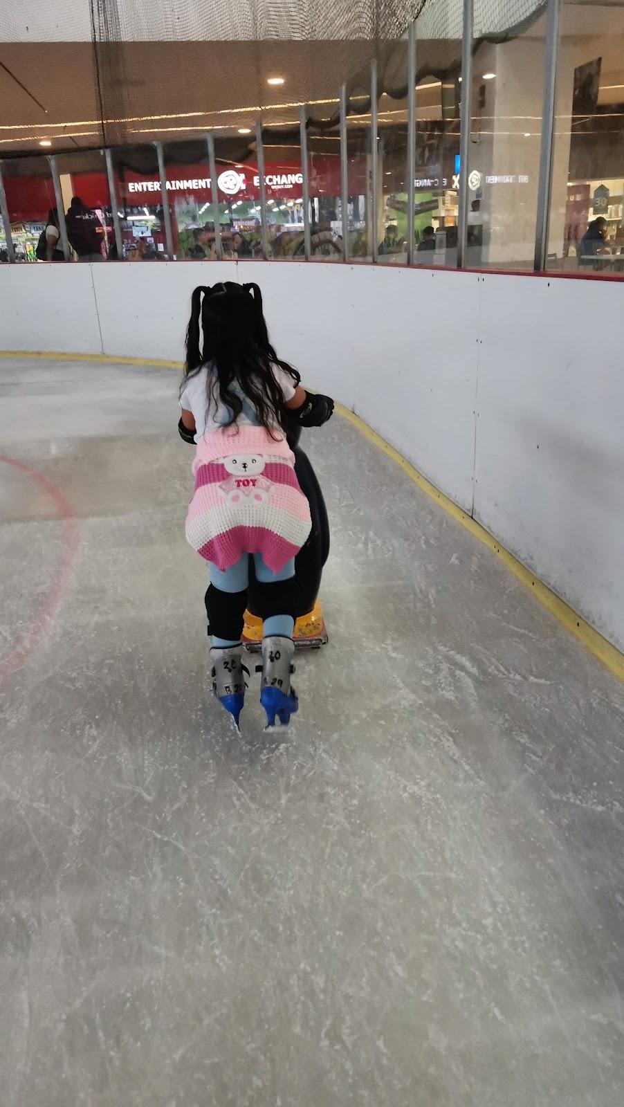 Pista de Hielo galería 10