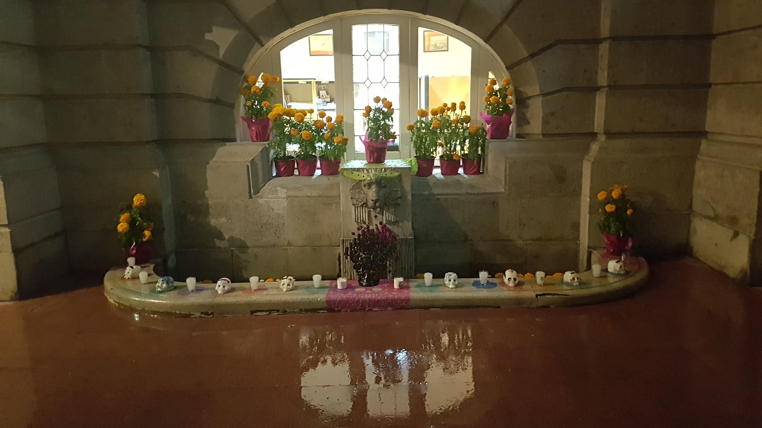 Artes de Mexico galería 5