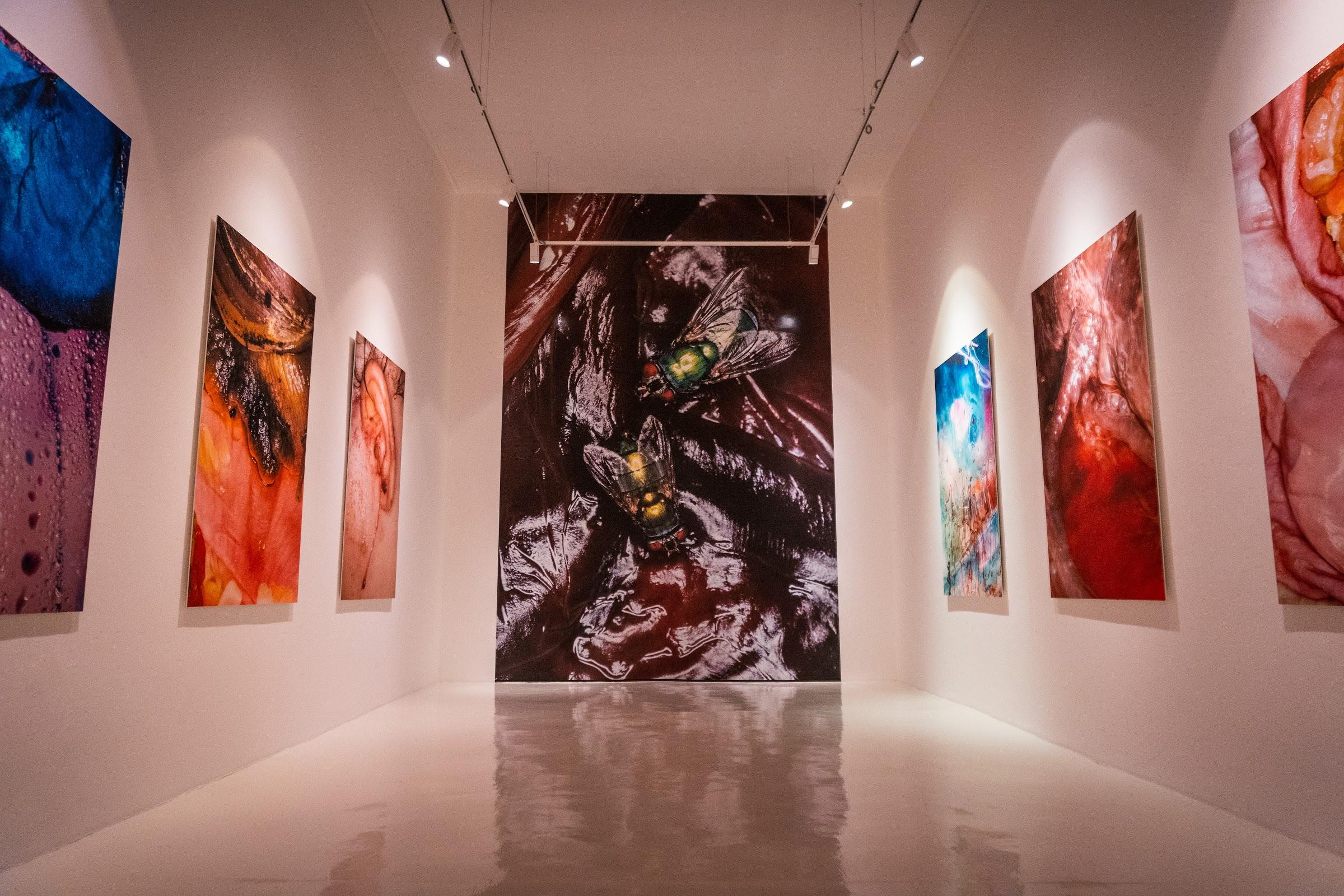 Galería Hilario Galguera galería 2