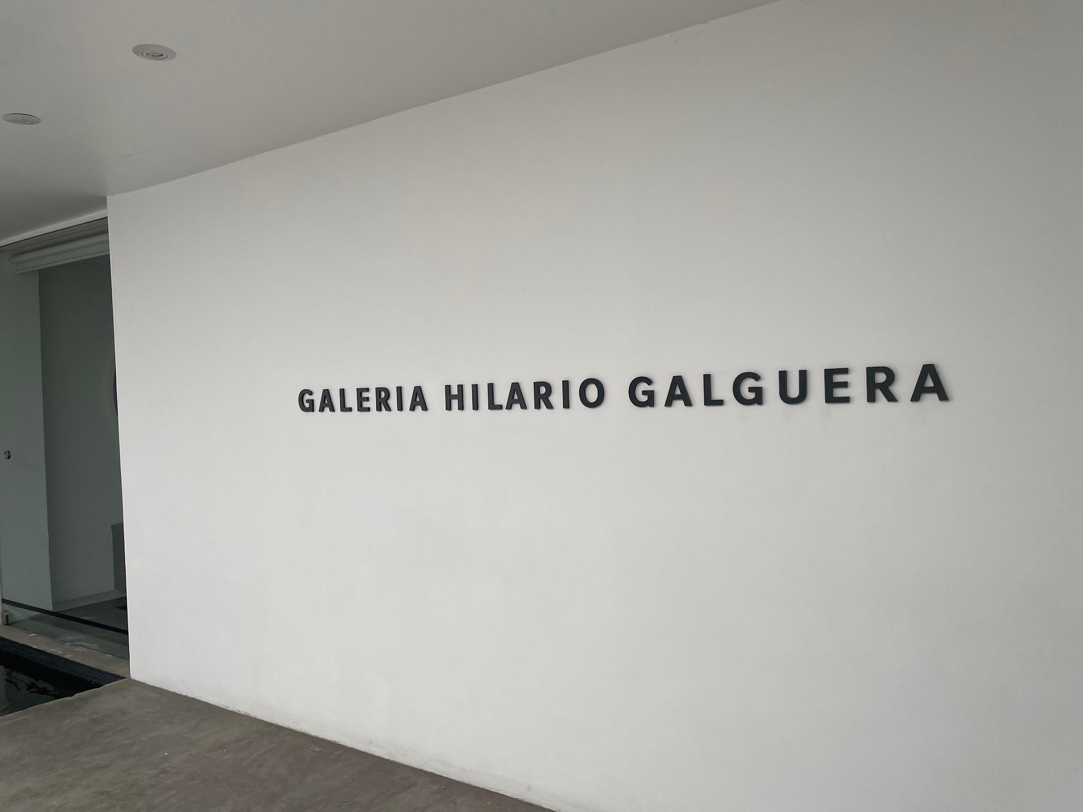 Galería Hilario Galguera galería 7