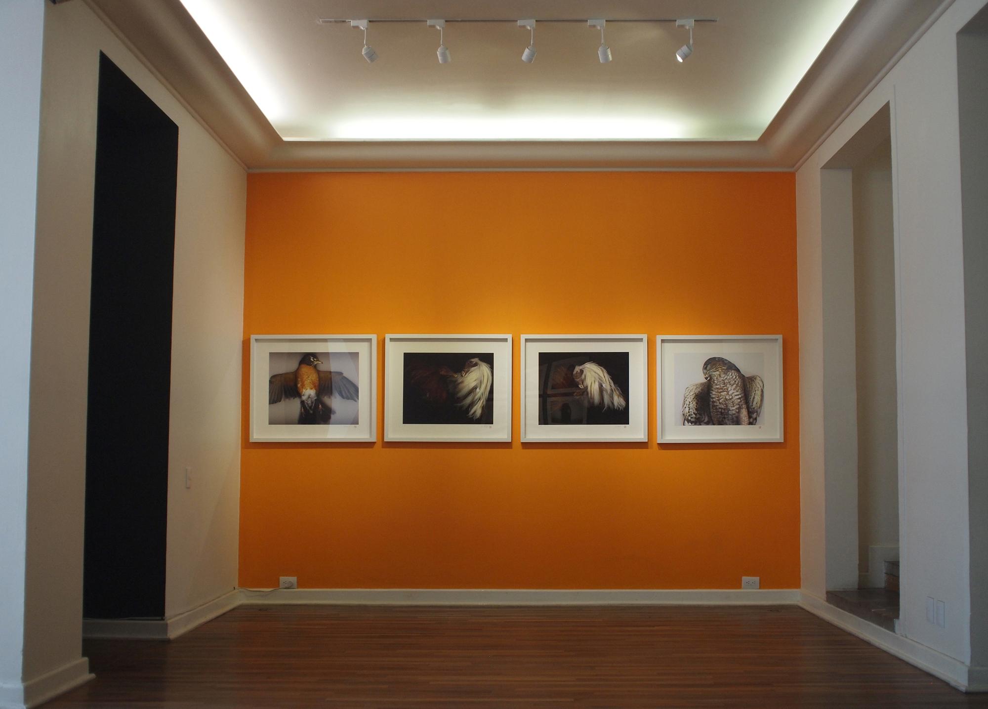 Patricia Conde Galería galería 9