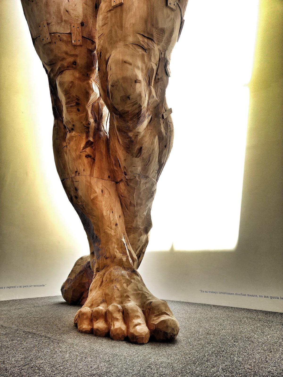 Terreno Baldío Arte galería 4