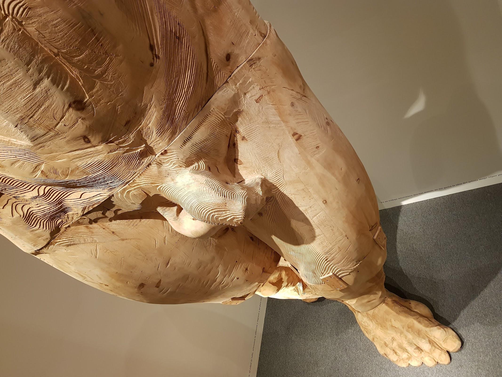 Terreno Baldío Arte galería 7