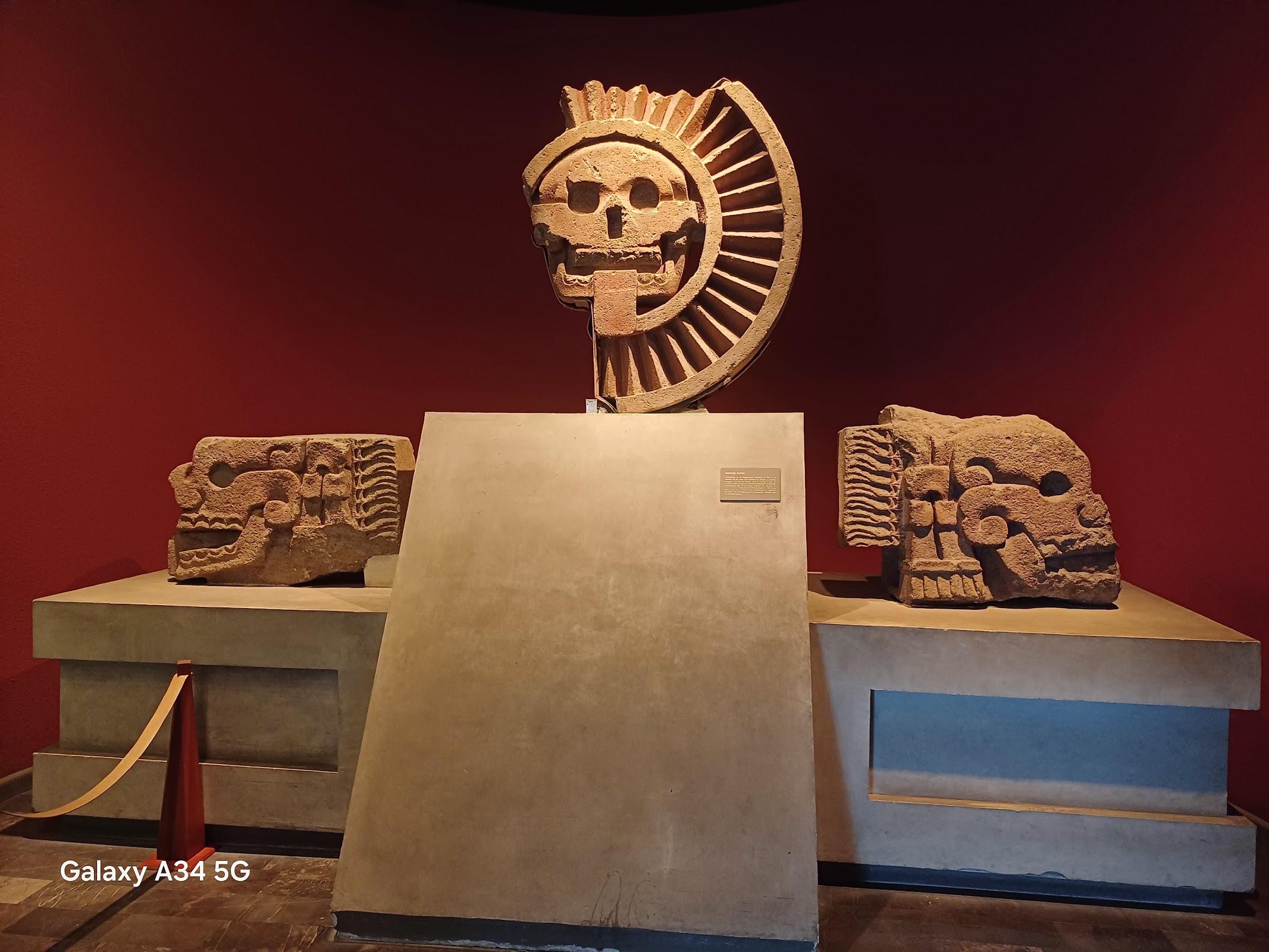 Museo Nacional de Antropología galería 10