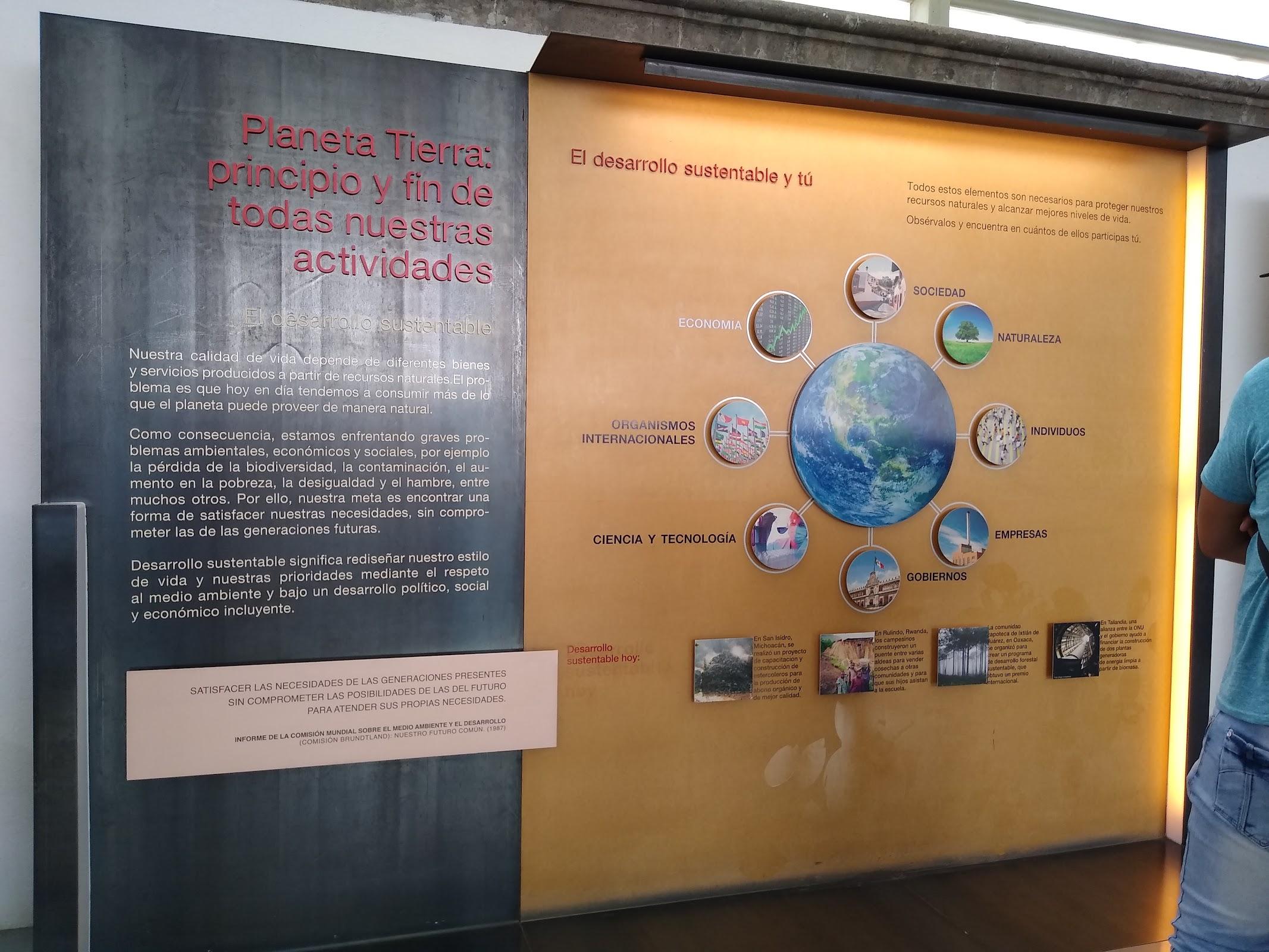 MIDE, Museo Interactivo de Economía galería 5