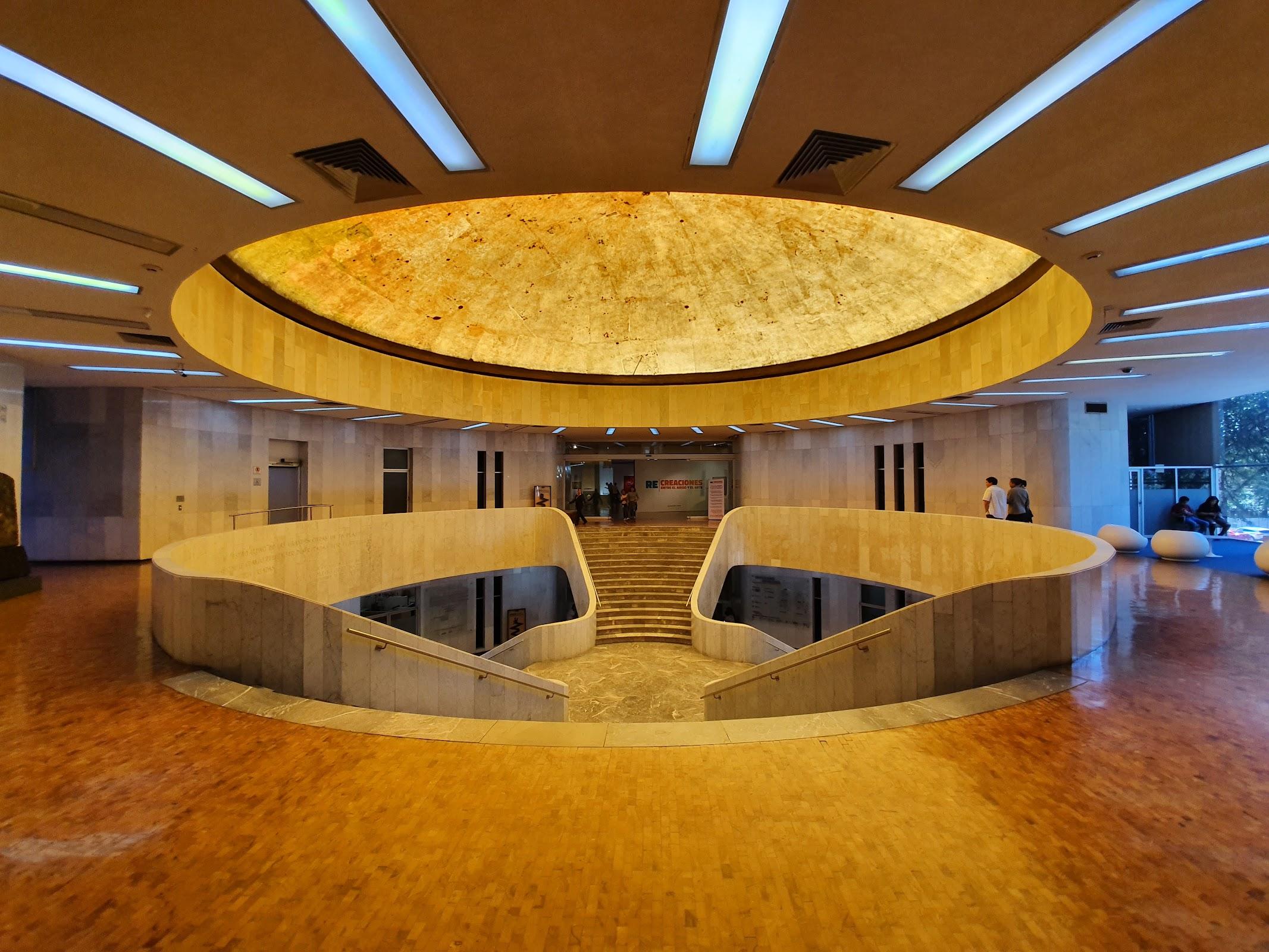 Museo de Arte Moderno galería 2