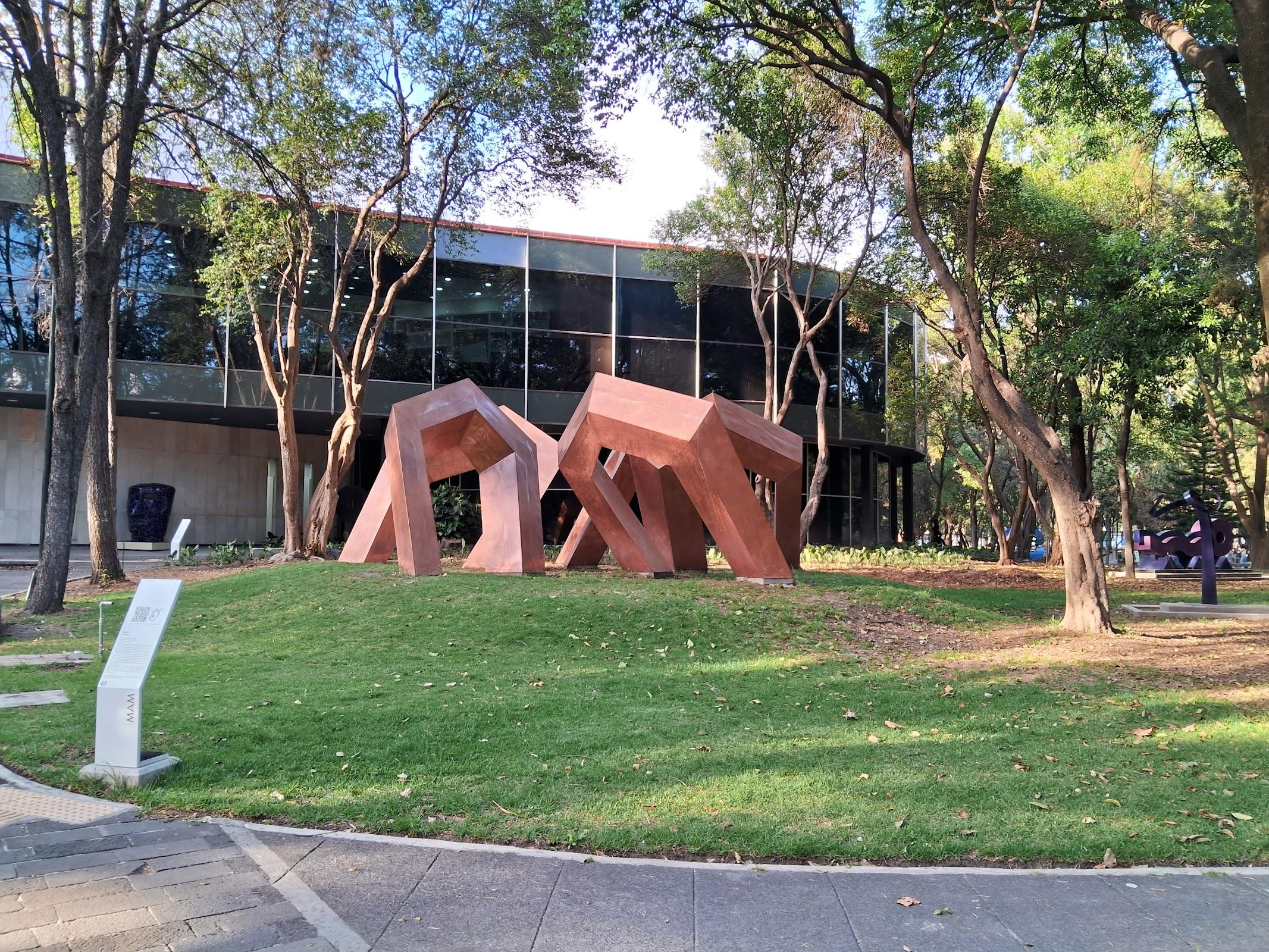 Museo de Arte Moderno galería 9