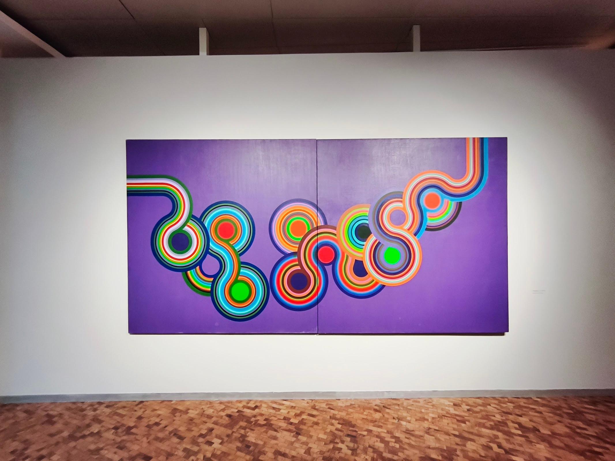 Museo de Arte Moderno galería 10