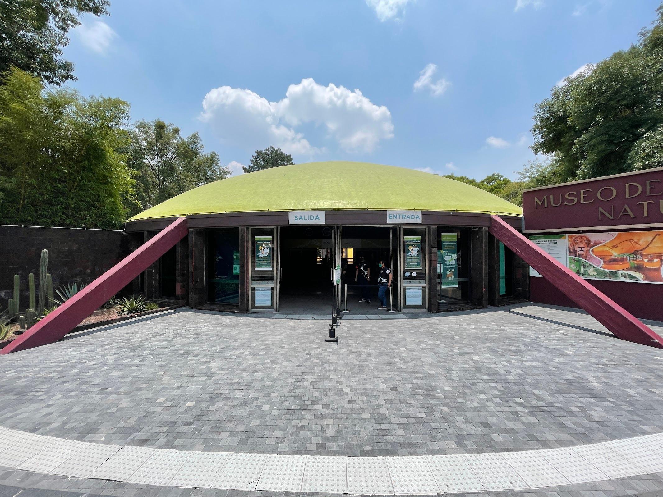 Museo de Historia Natural y Cultura Ambiental galería 4