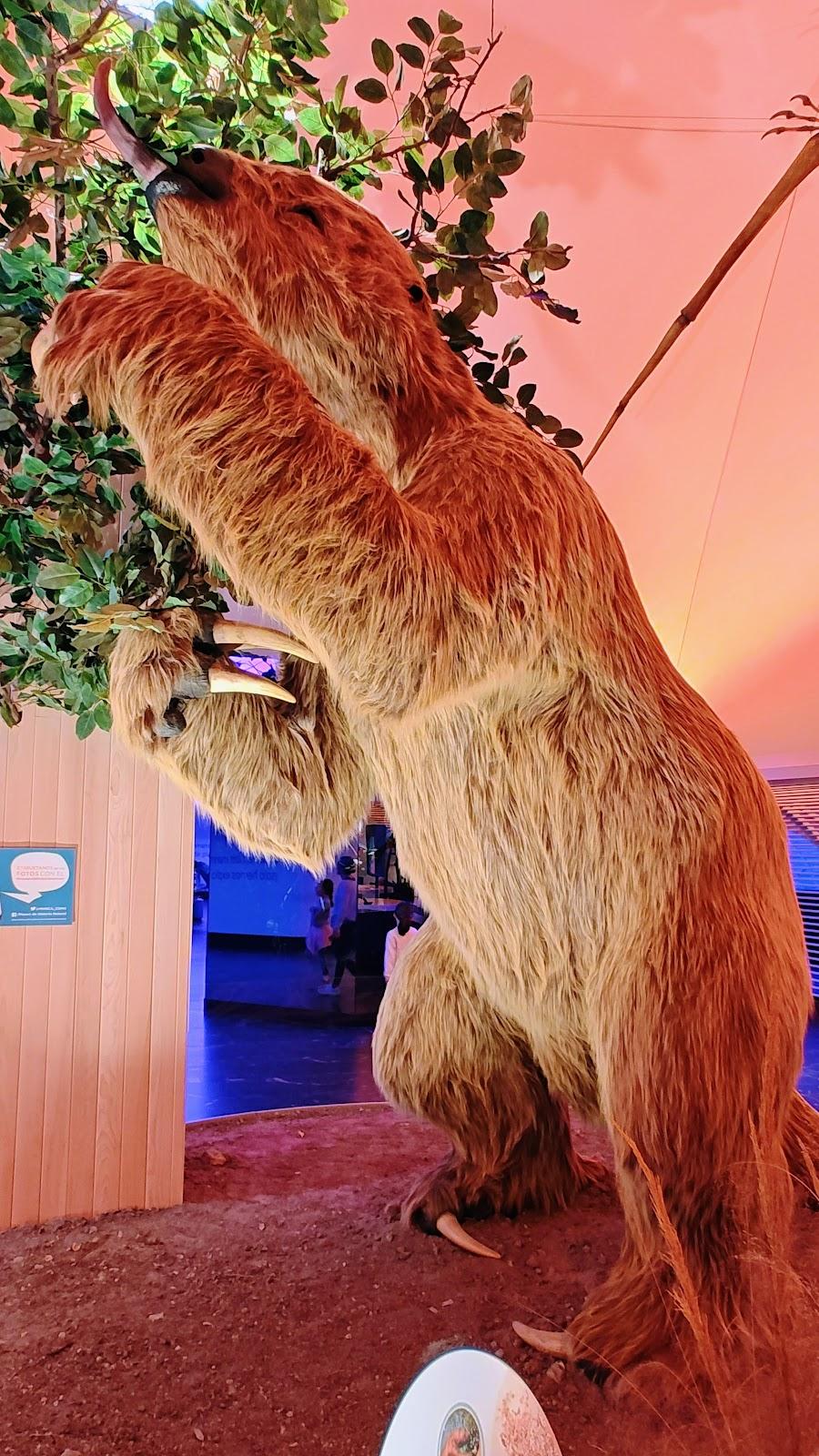 Museo de Historia Natural y Cultura Ambiental galería 6