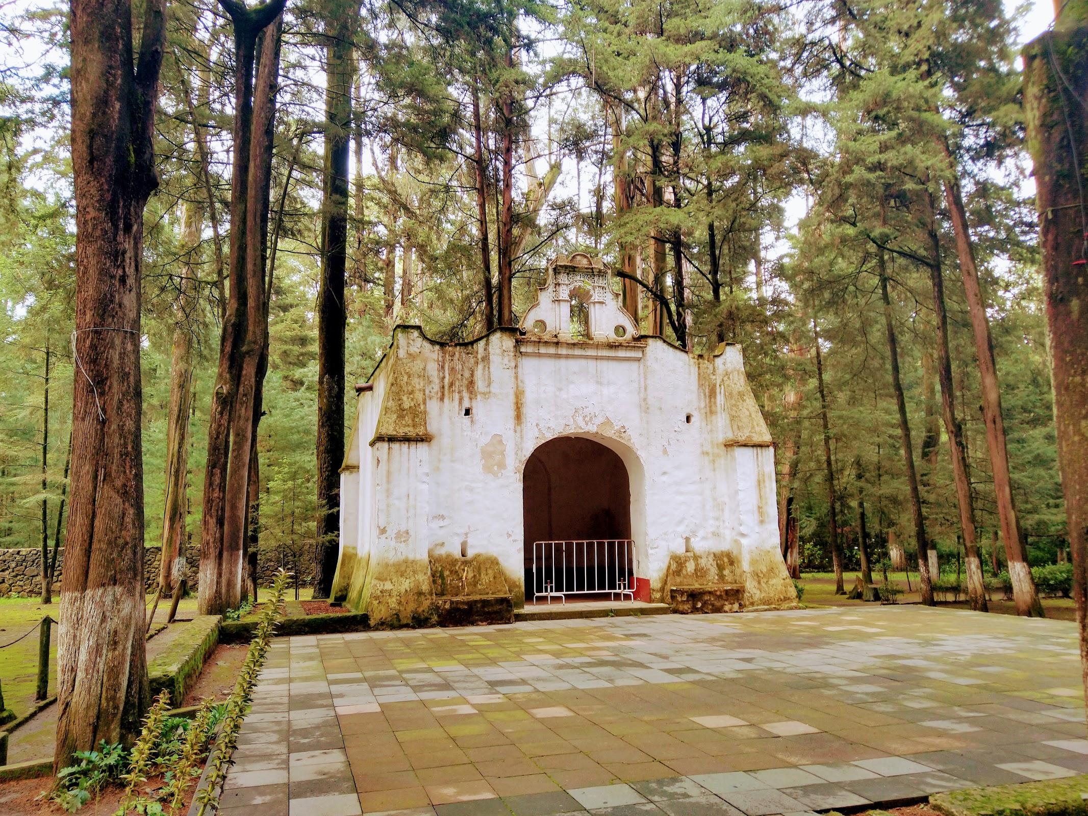 Ex Convento Desierto de los Leones galería 7
