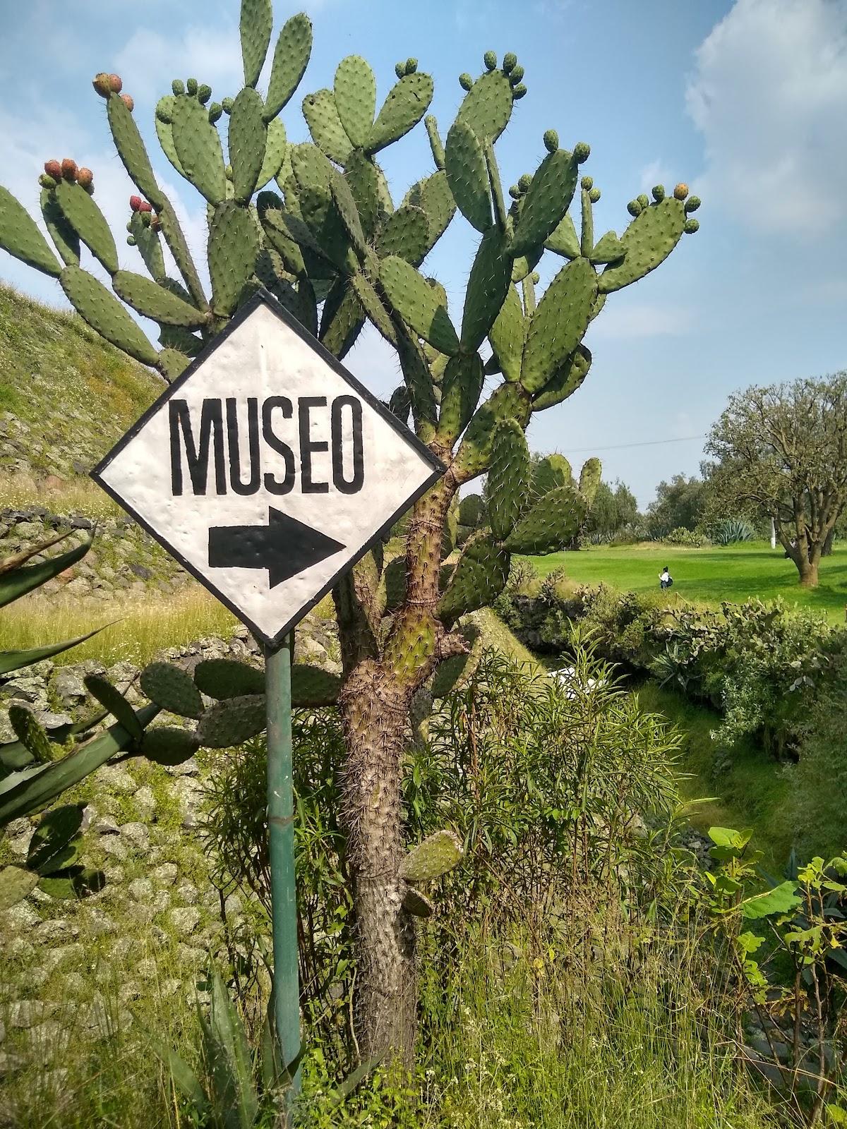 Zona Arqueológica Cuicuilco galería 4