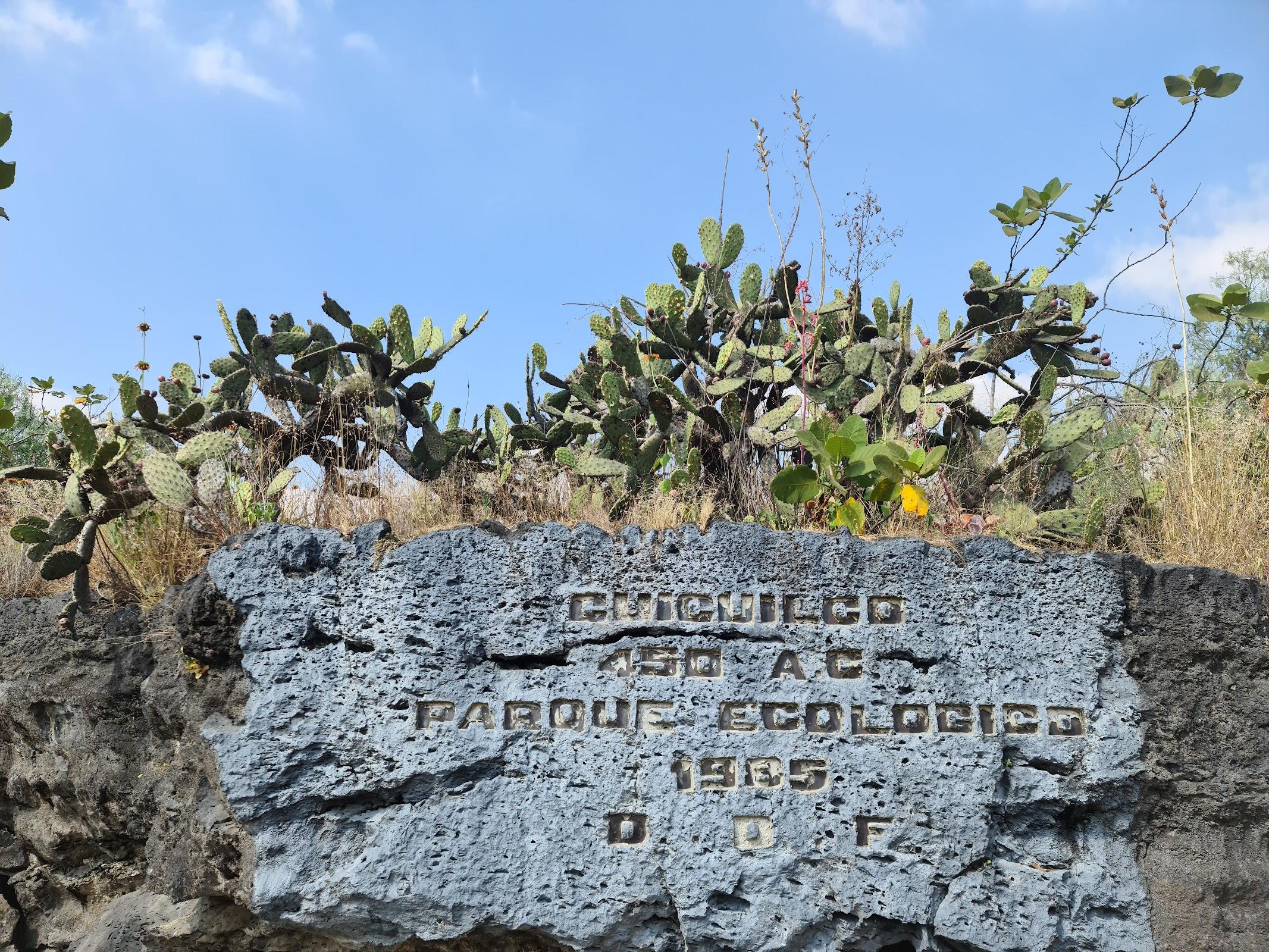 Zona Arqueológica Cuicuilco galería 8