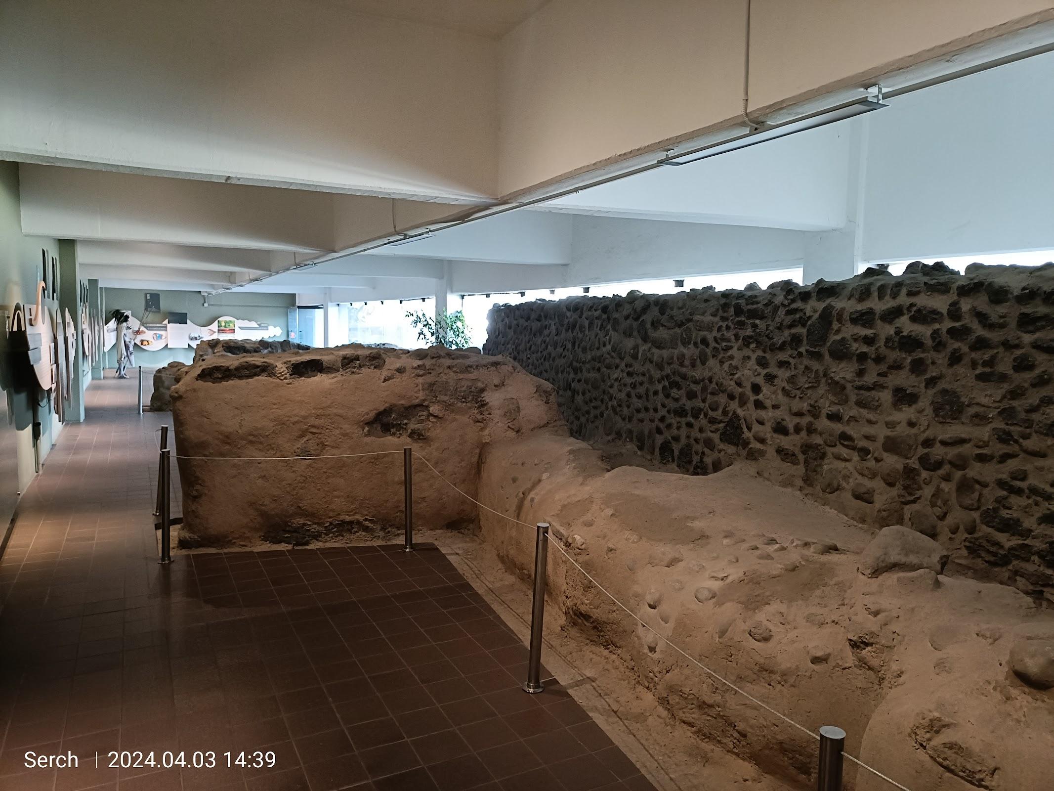 Zona Arqueológica de Mixcoac galería 4