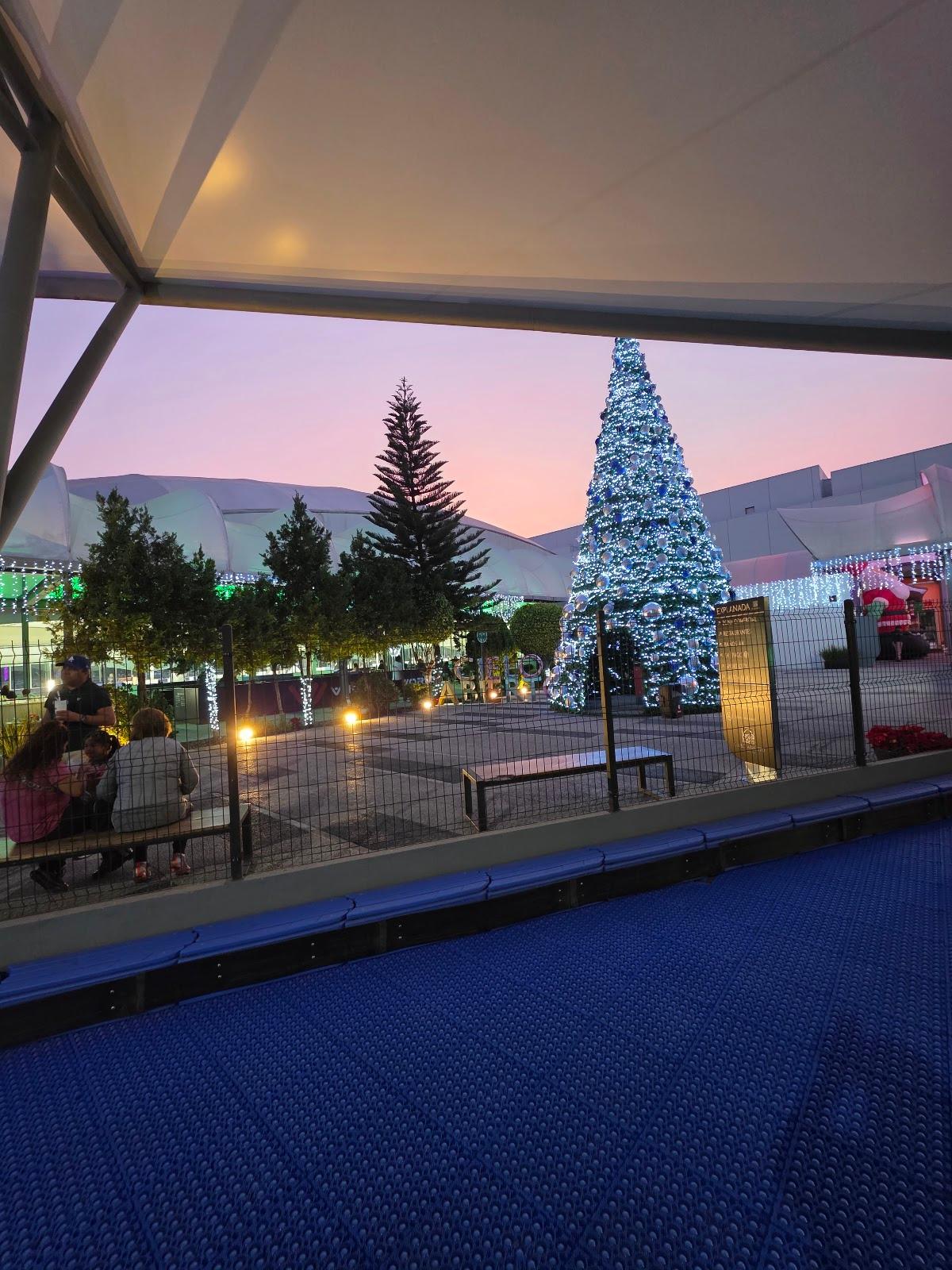 La Pista Coyoacan galería 7