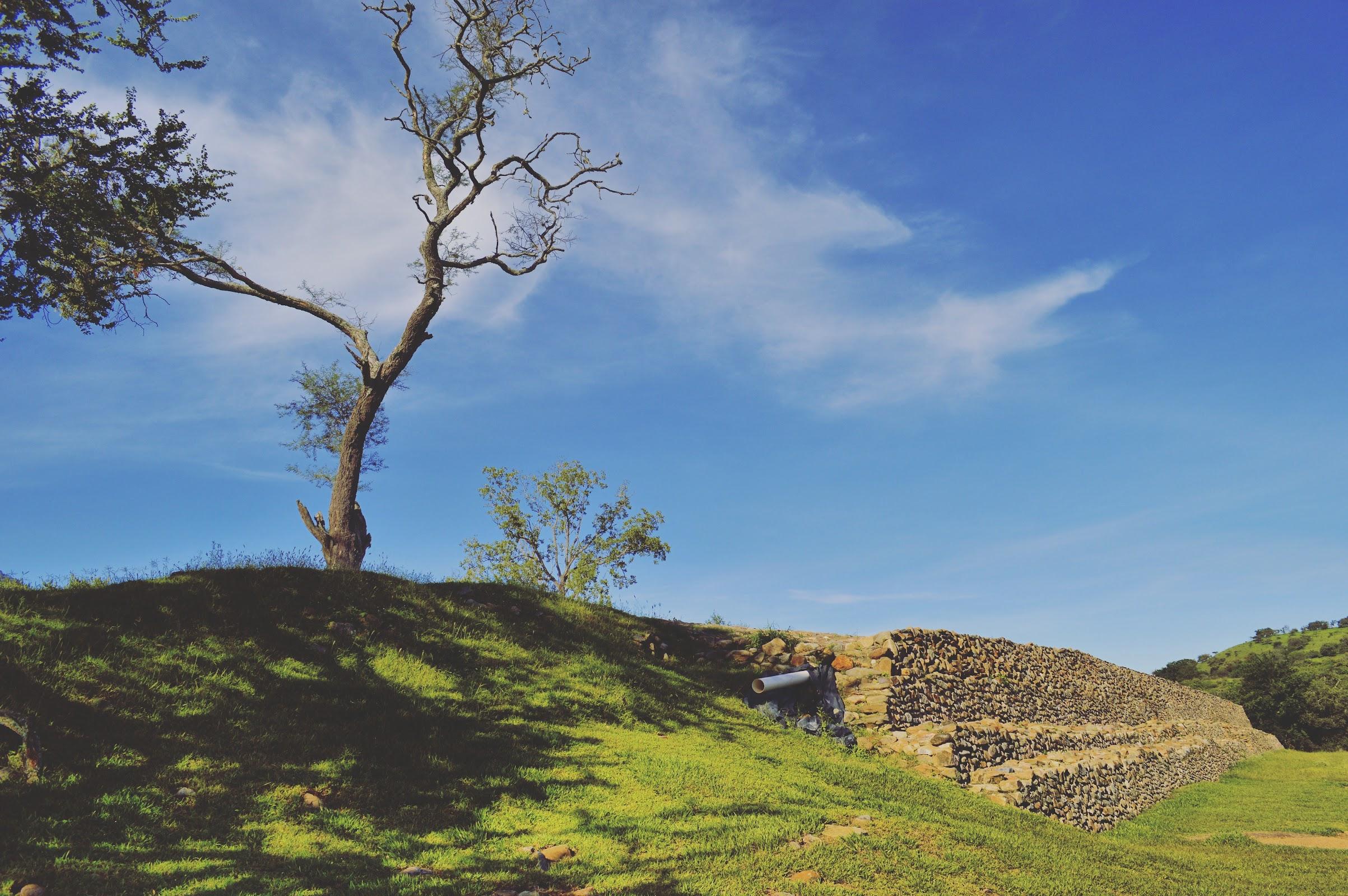 Palacio de Ocomo galería 7