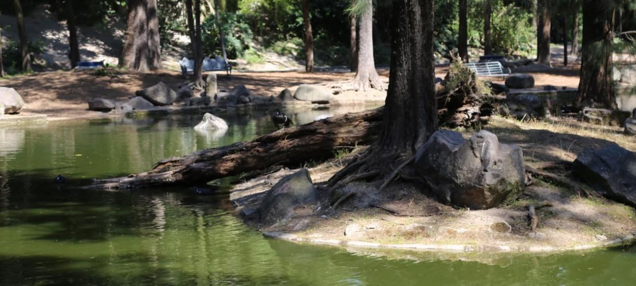 Bosque Los Colomos en Guadalajara