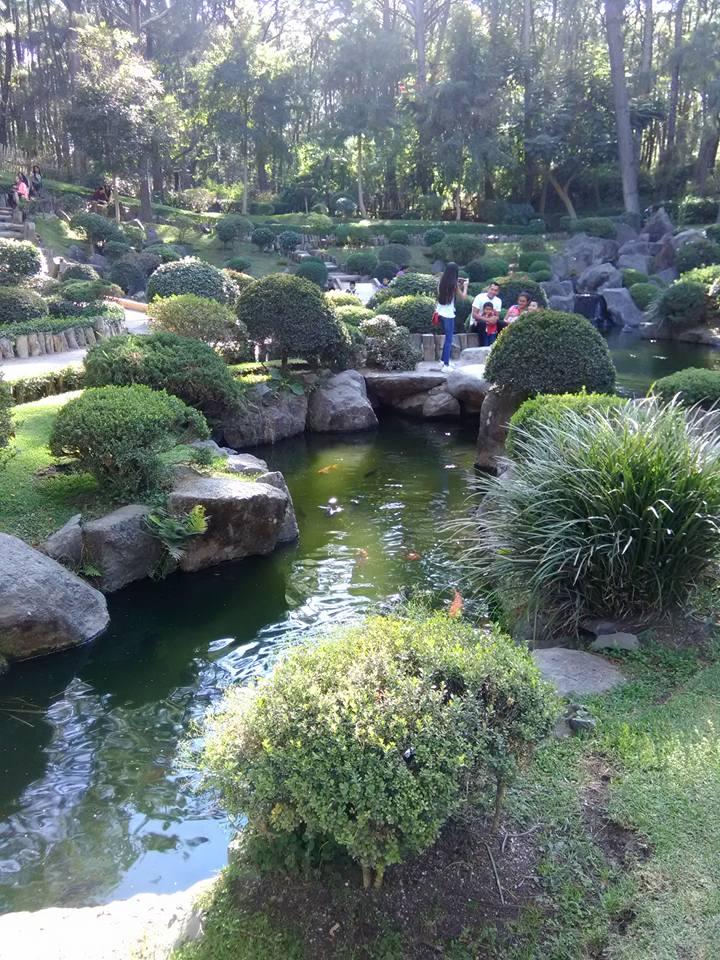 Bosque Los Colomos galería 3