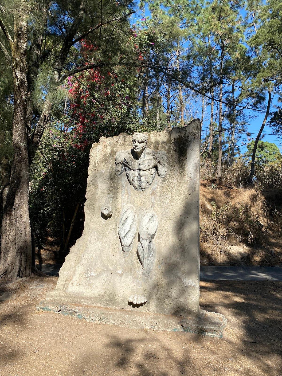 Bosque Los Colomos galería 6