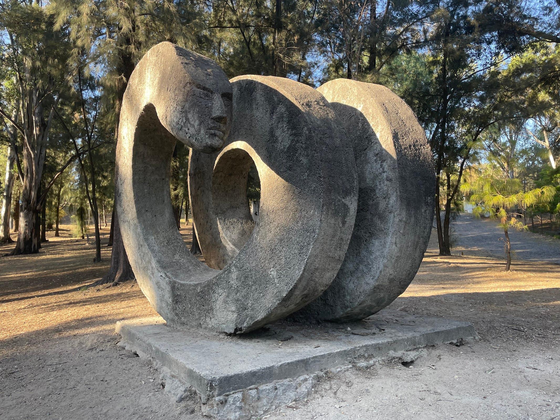 Bosque Los Colomos galería 8