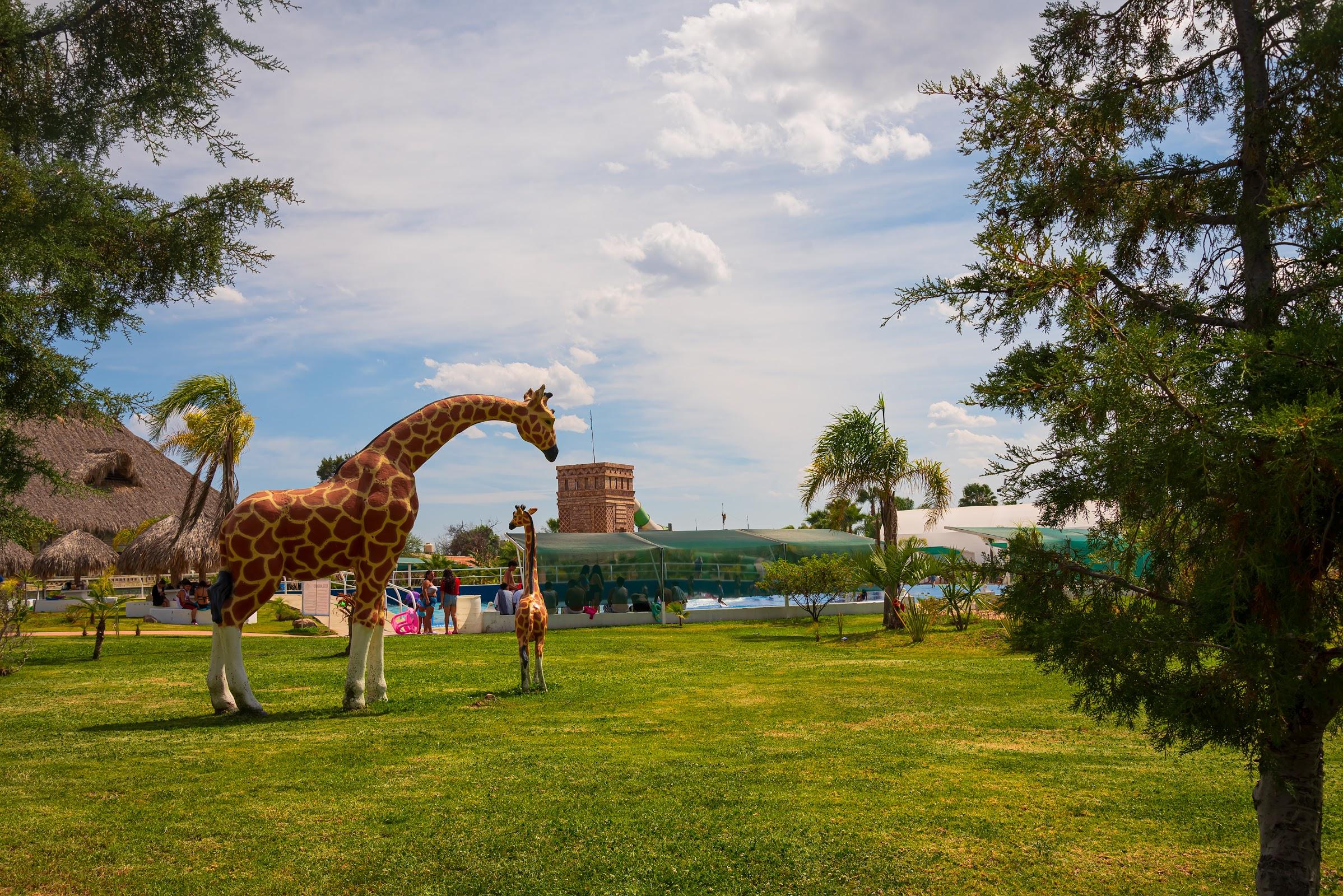 Kikapu Parque Acuático galería 9