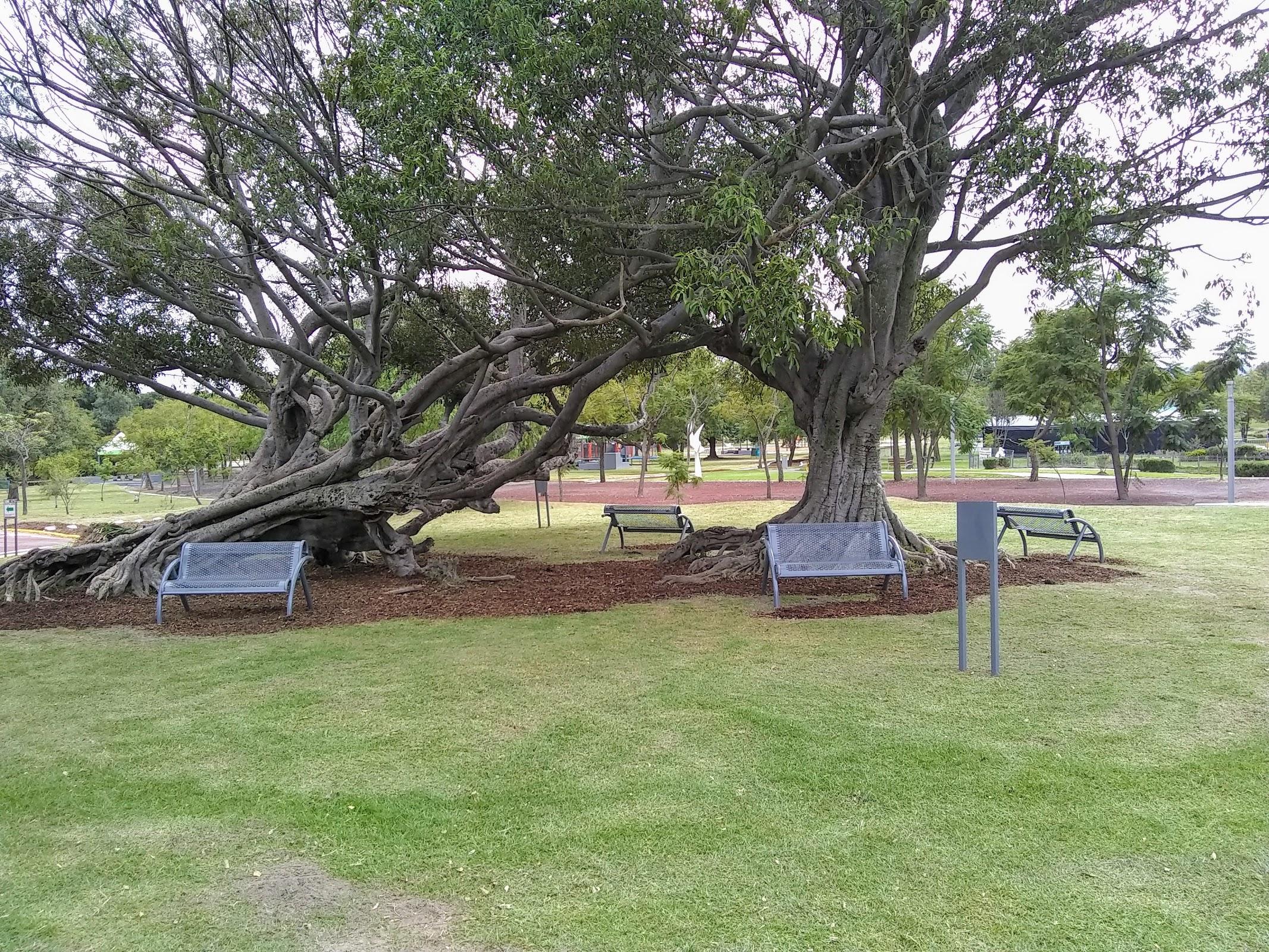 Parque Metropolitano de Guadalajara galería 2
