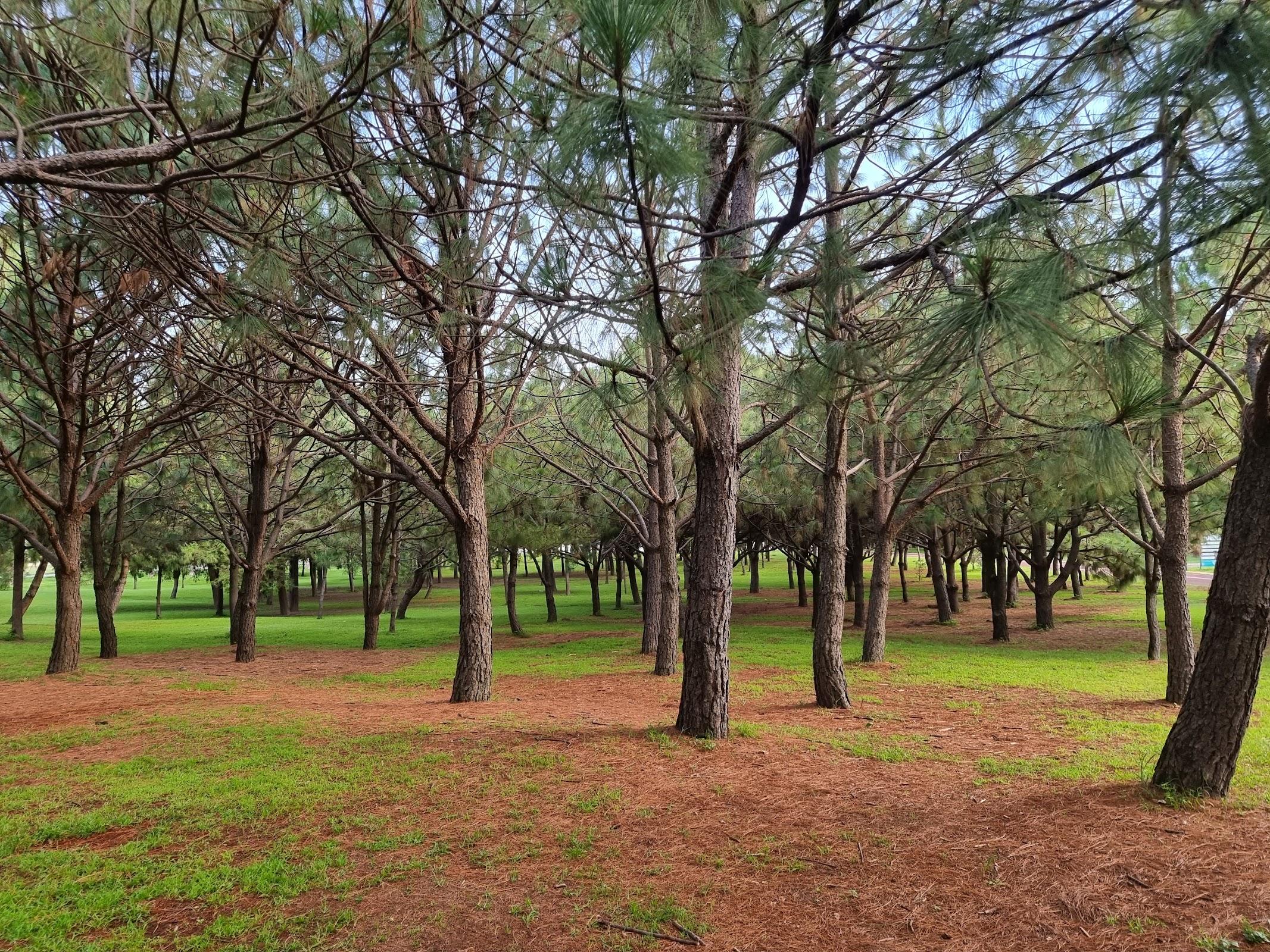 Parque Metropolitano de Guadalajara galería 9