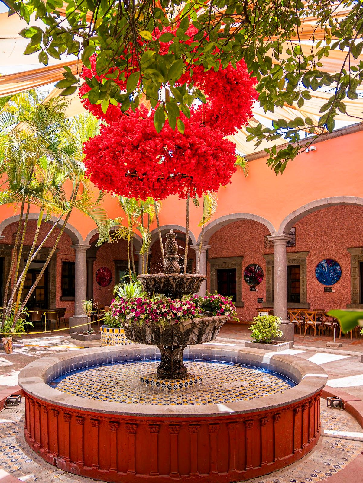 Casa Sauza galería 4