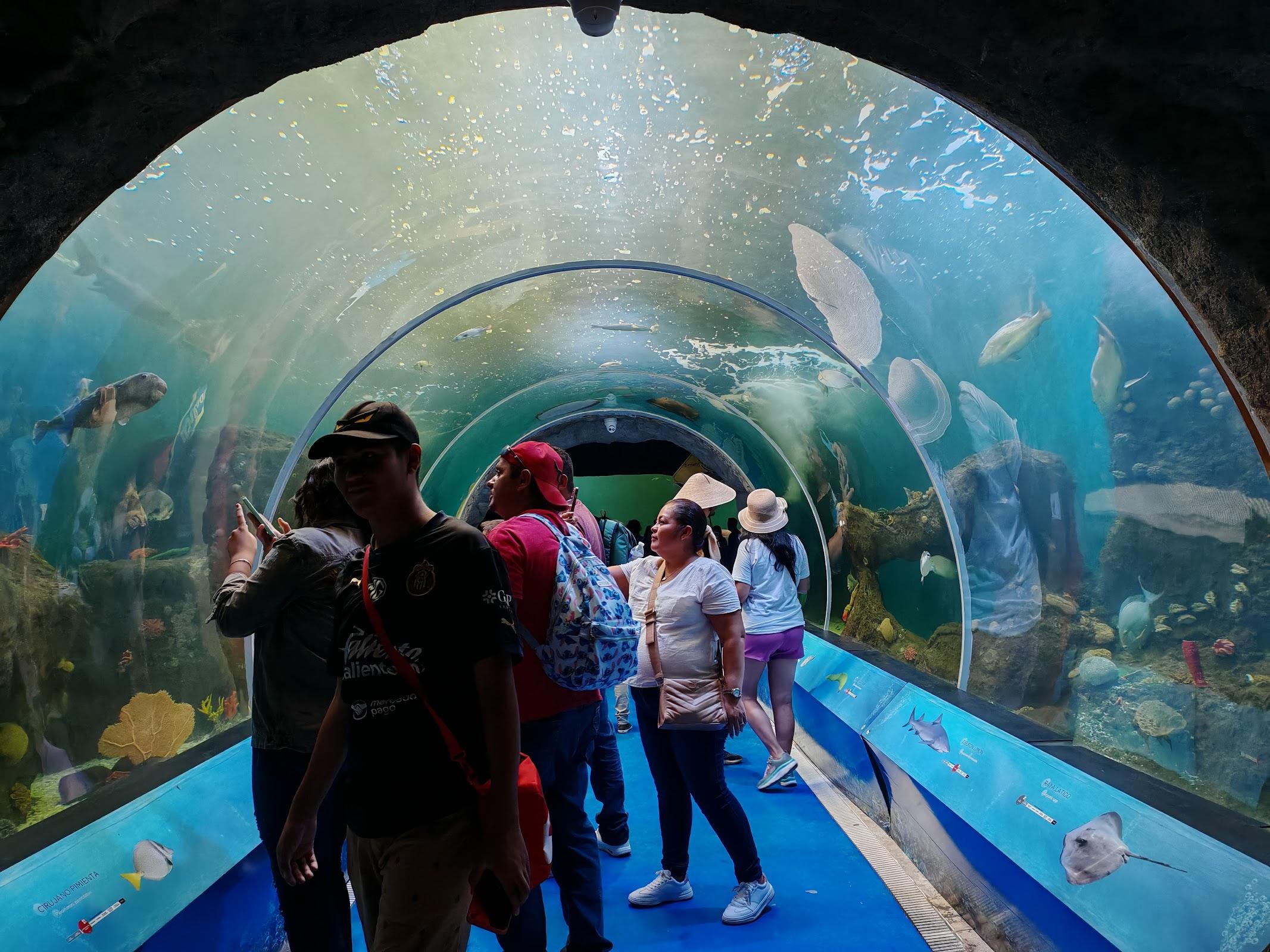 Zoológico Guadalajara galería 2