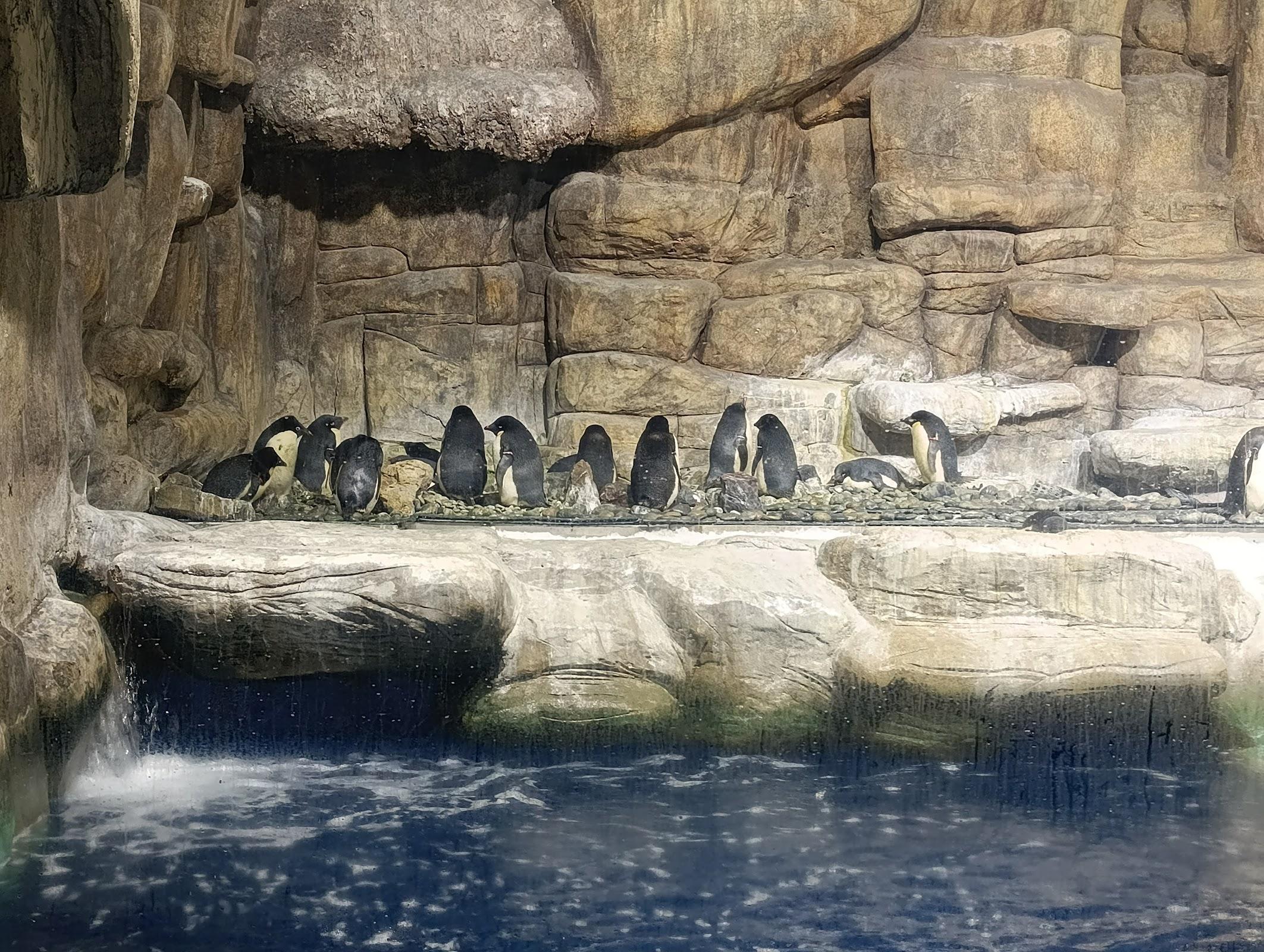 Zoológico Guadalajara galería 7