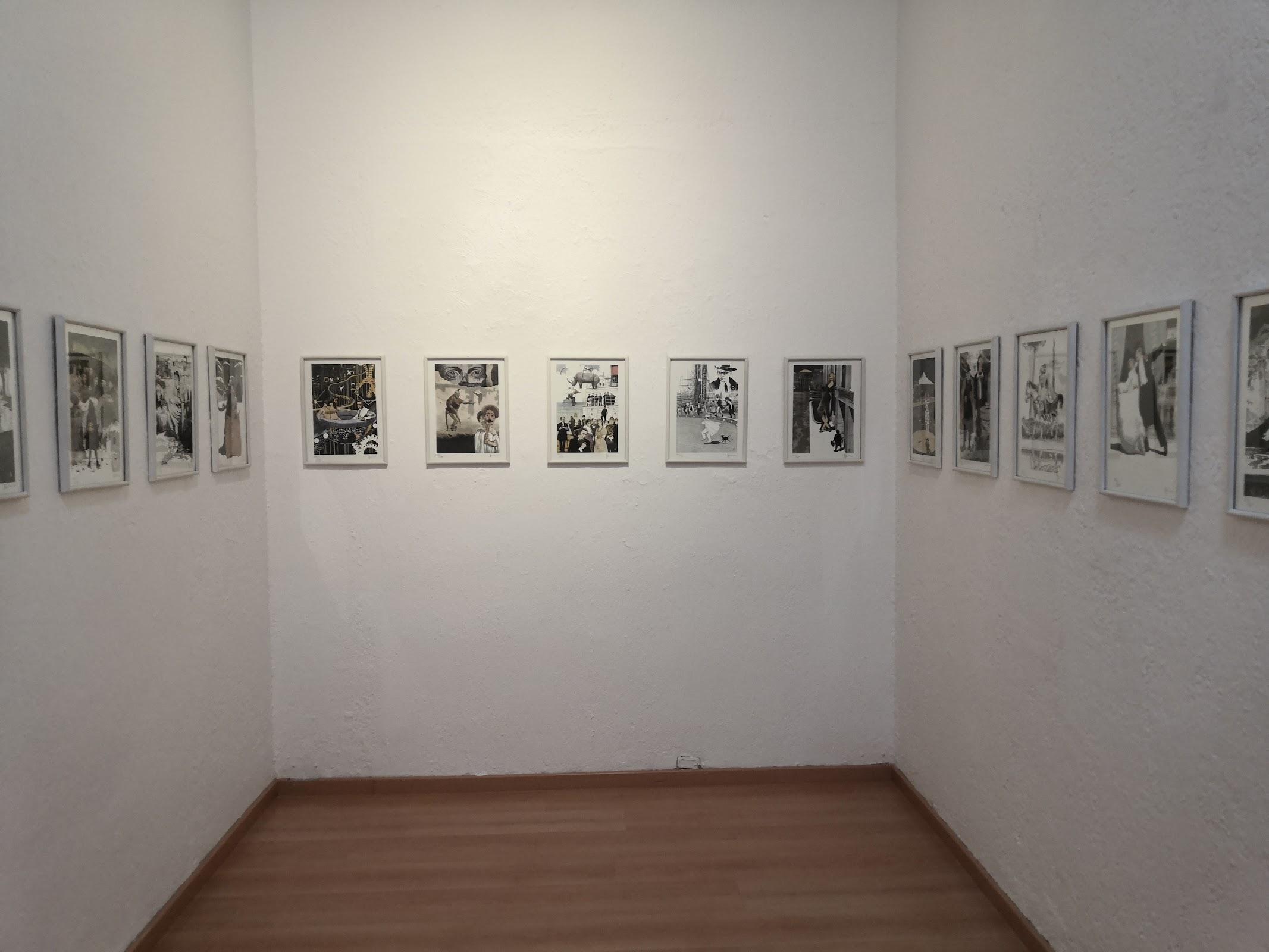 Ex Convento Del Carmen galería 6