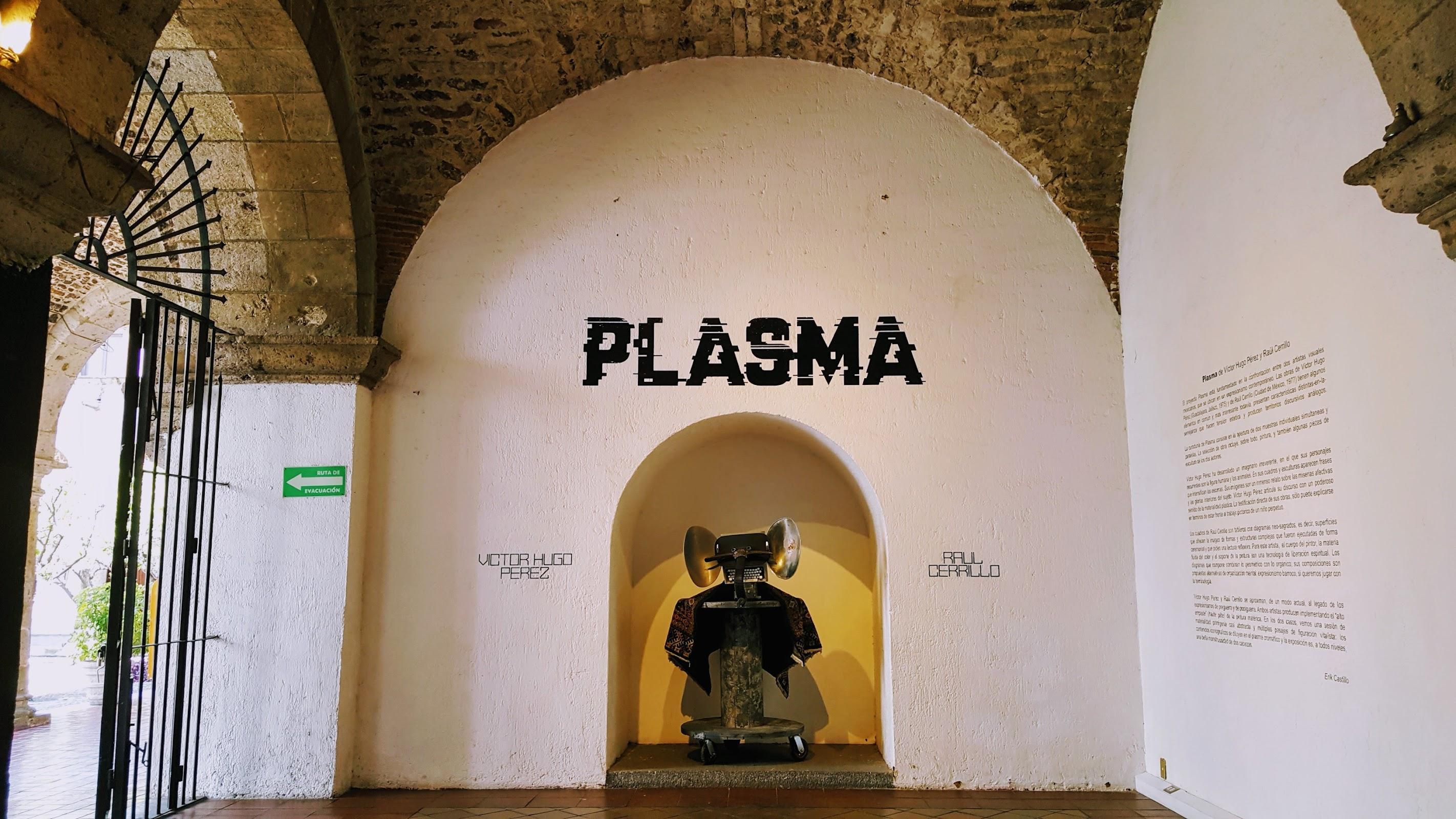 Ex Convento Del Carmen galería 9