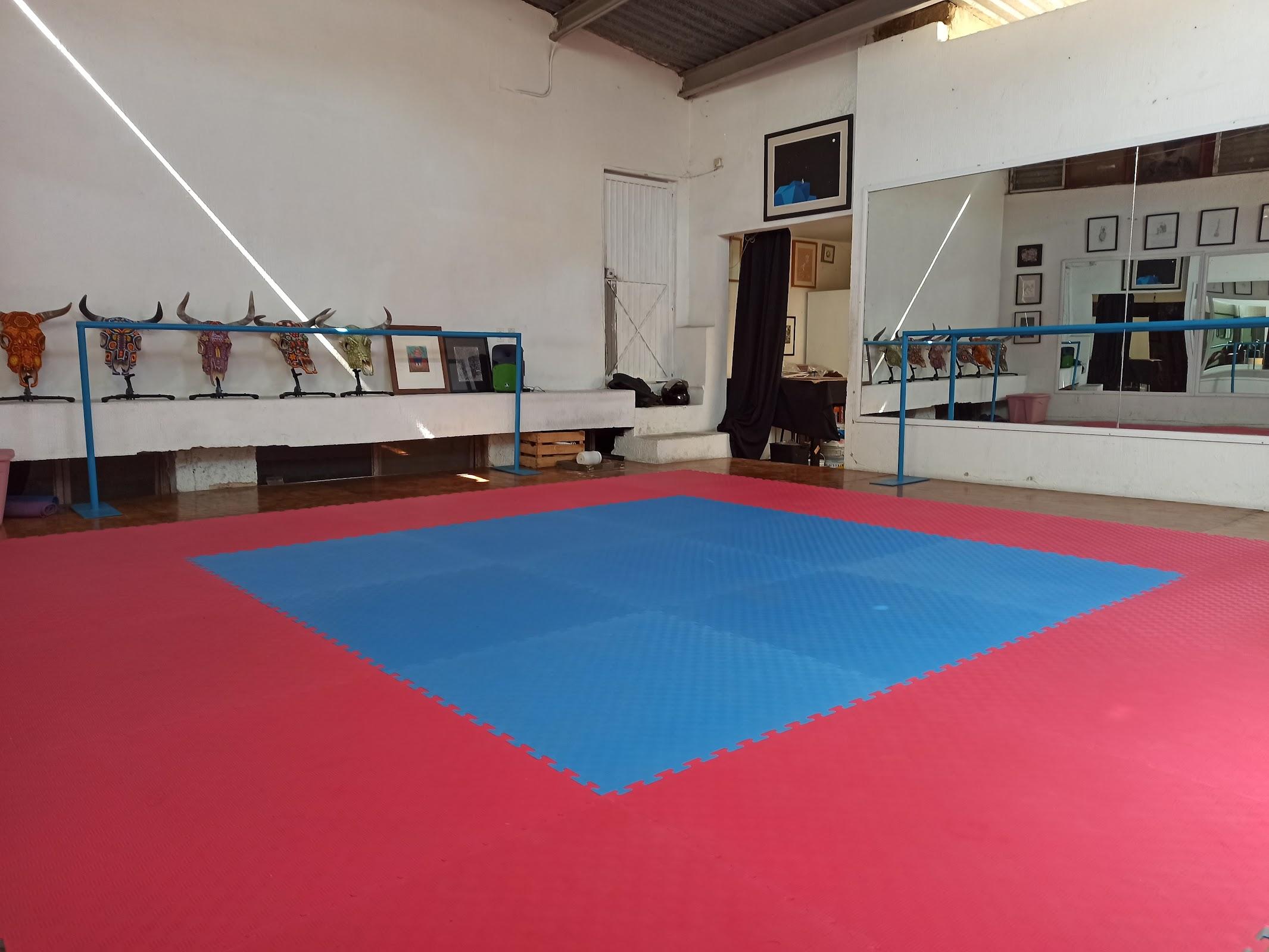 Galería Ajolote, Ediciones Axolotl y Ajolote Danza galería 3