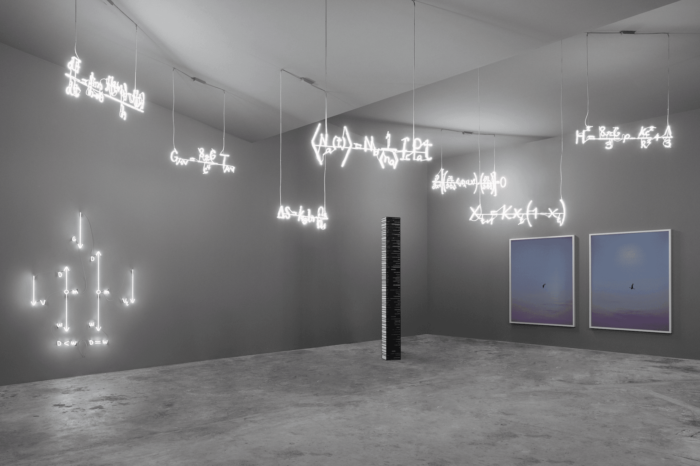 Galería CURRO galería 8