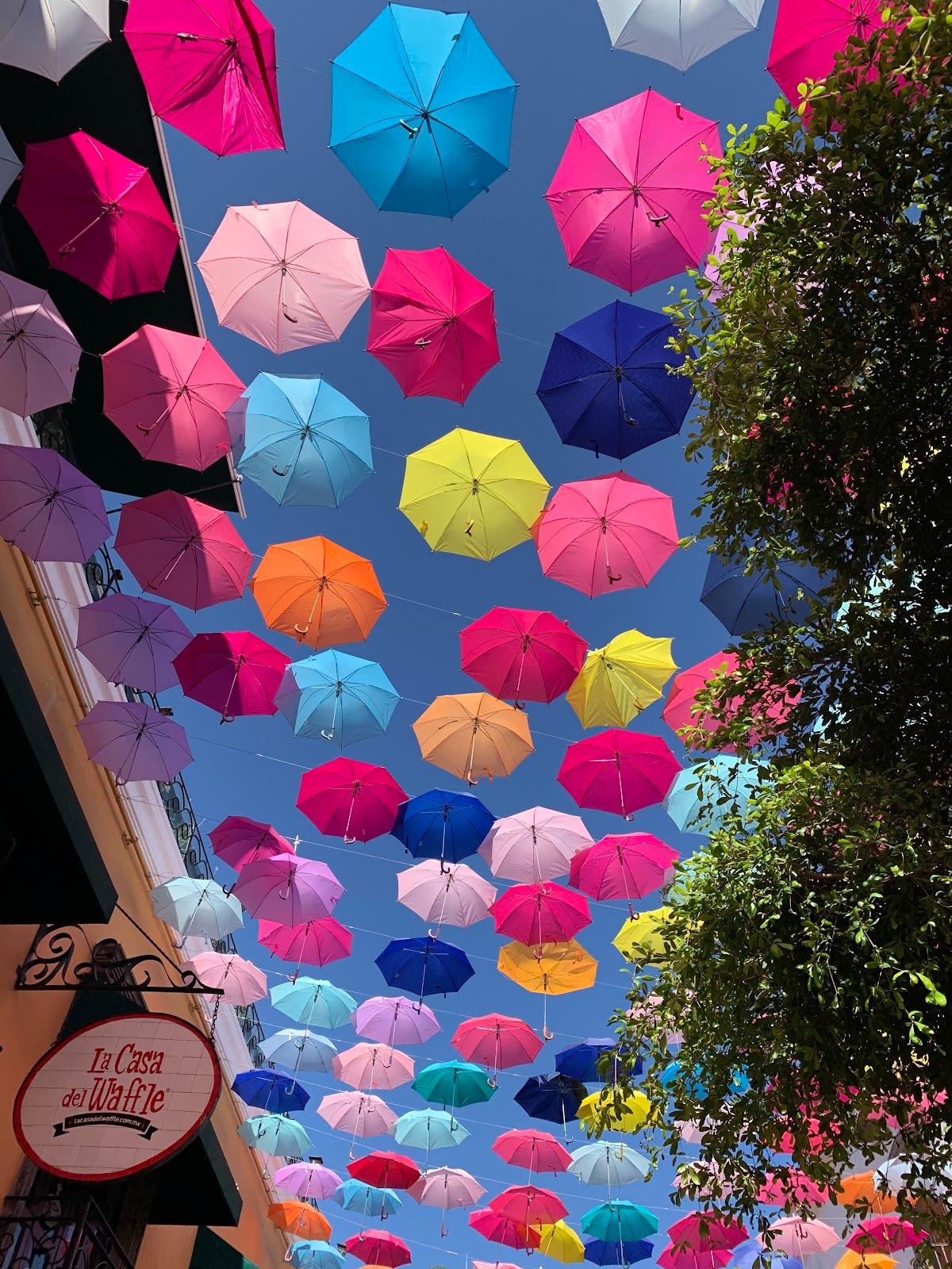 Galería Rodo Padilla galería 2