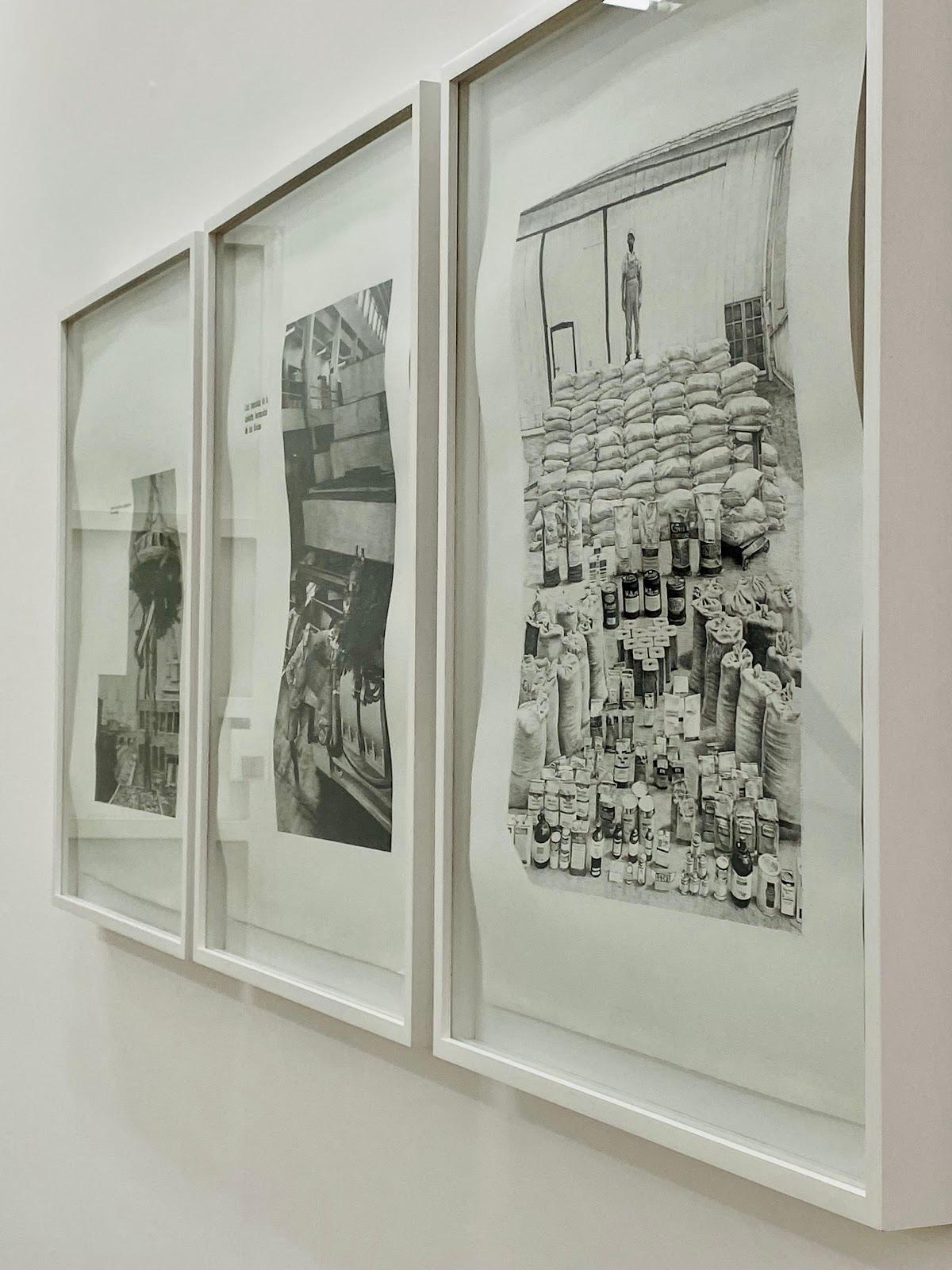 Tiro Al Blanco galería 7