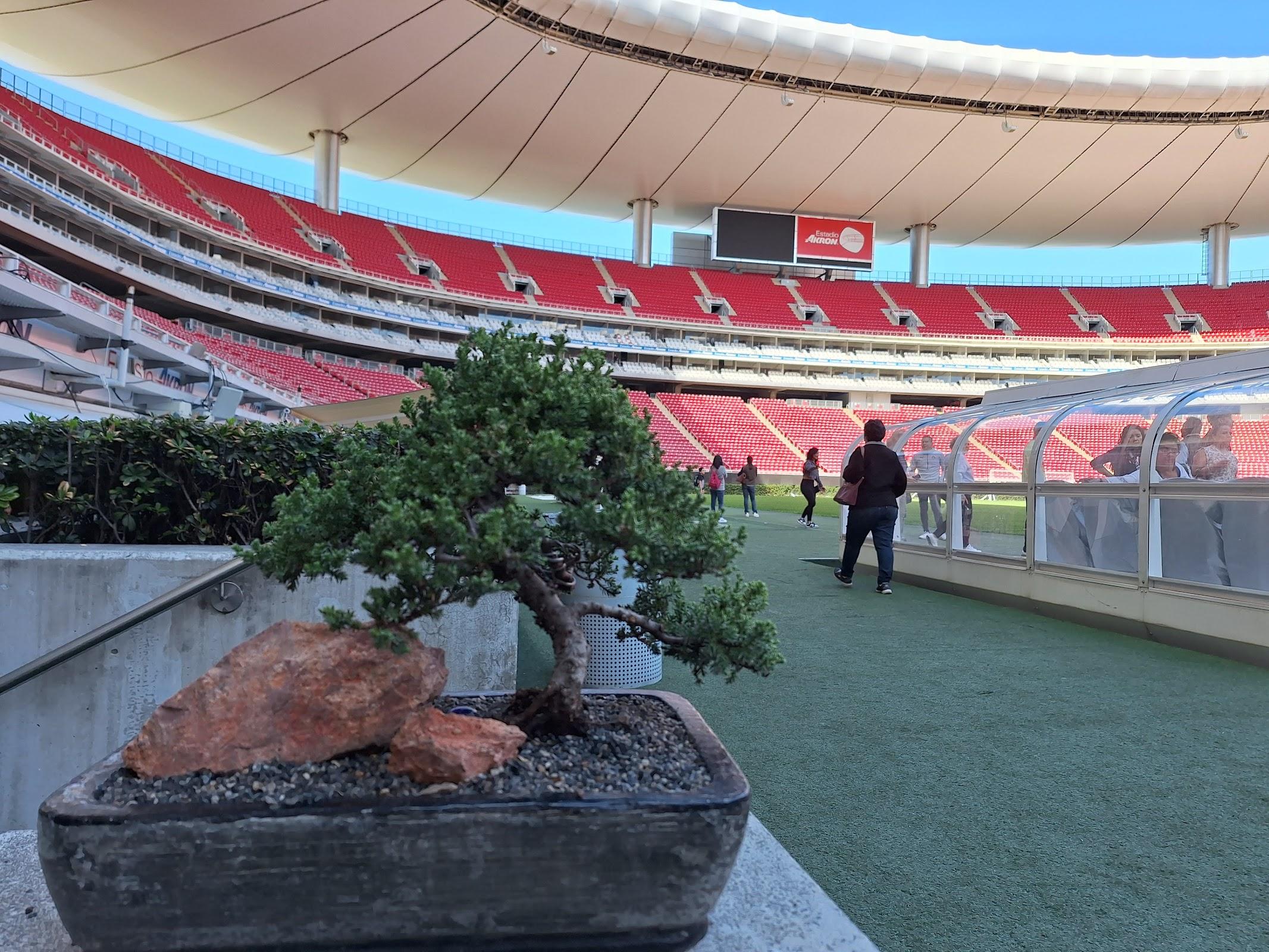 Museo Chivas galería 6