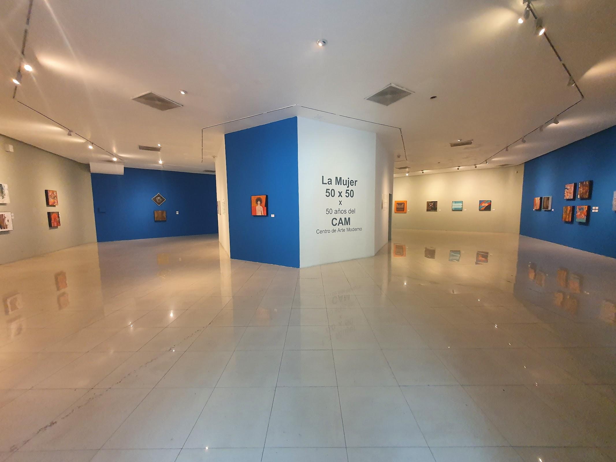 Museo Raúl Anguiano MURA galería 5
