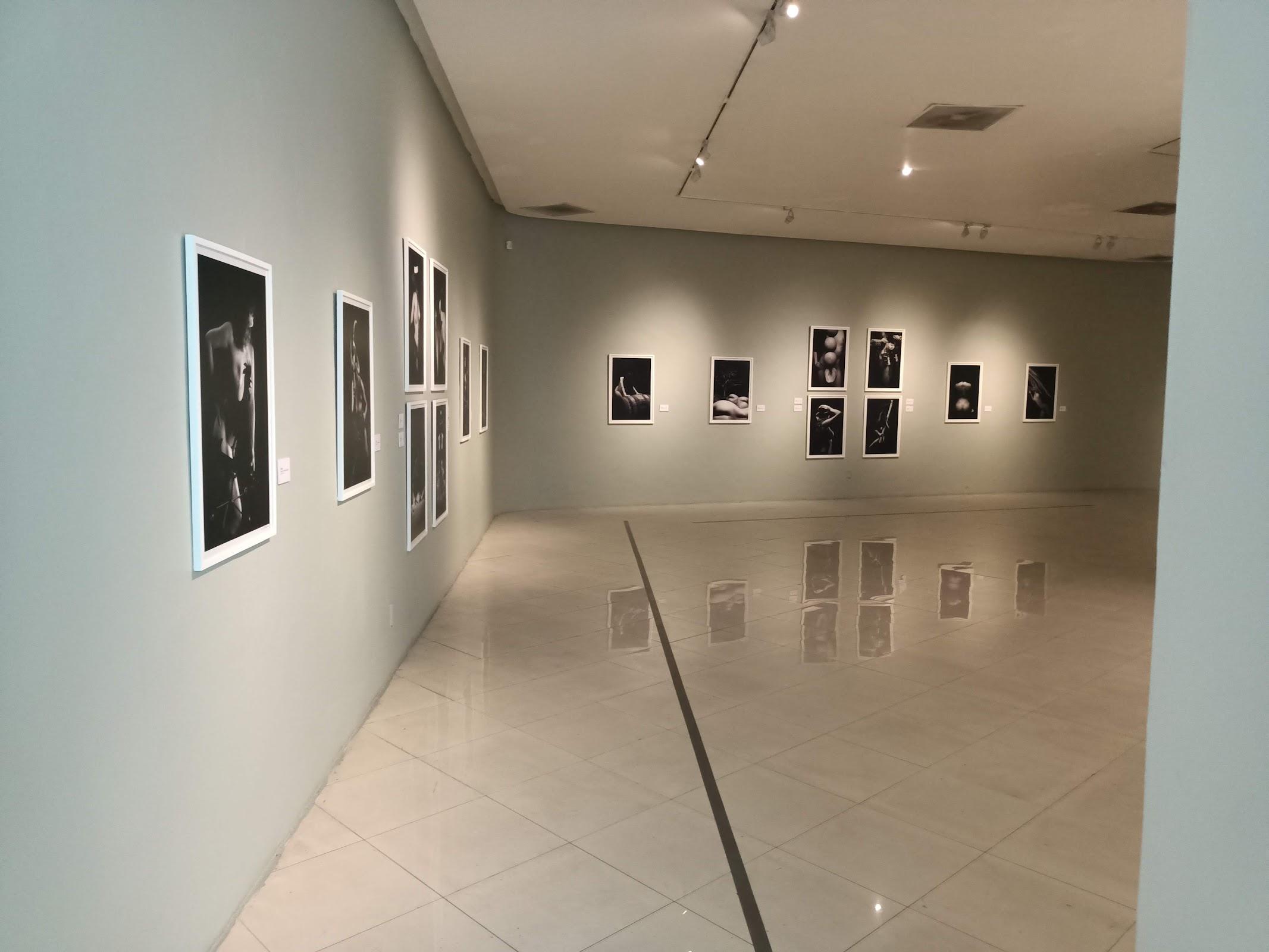 Museo Raúl Anguiano MURA galería 8