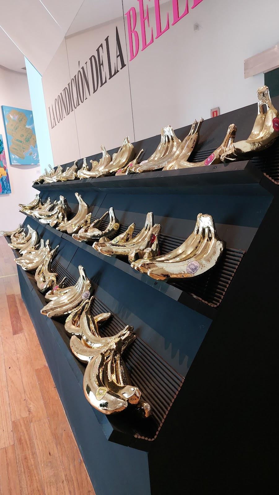 Museo Raúl Anguiano MURA galería 9