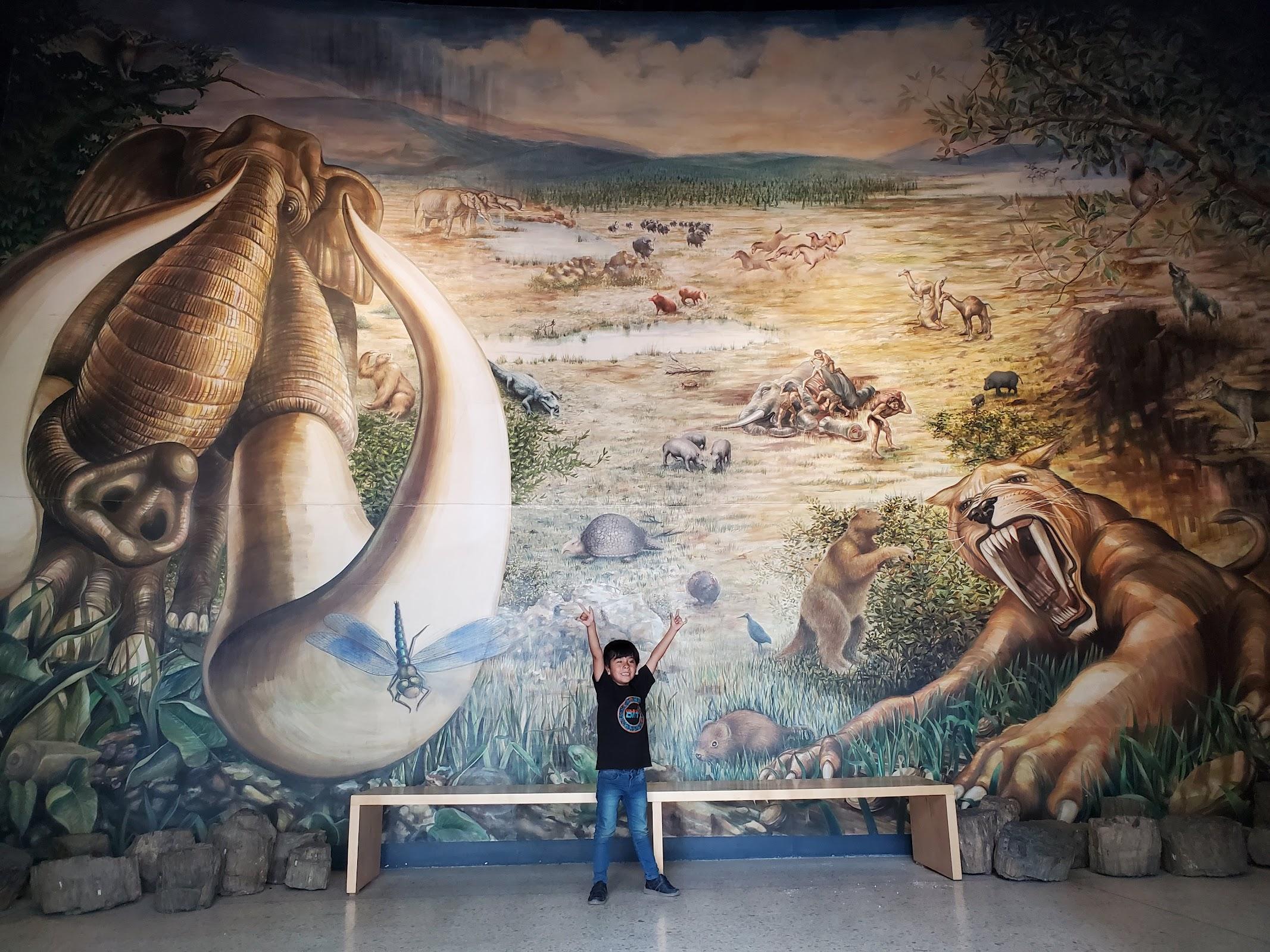 Museo de Paleontología de Guadalajara galería 5