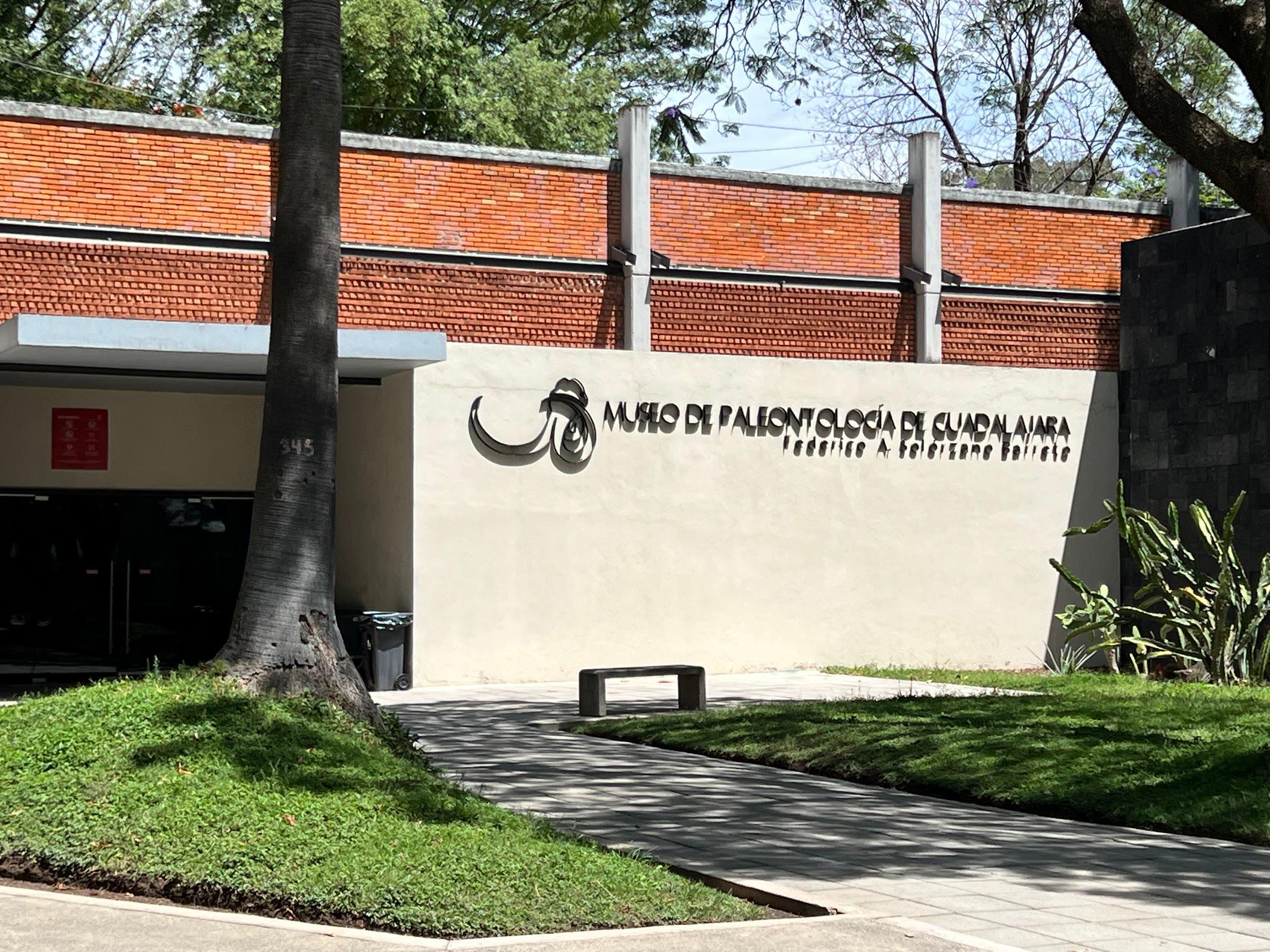 Museo de Paleontología de Guadalajara galería 6