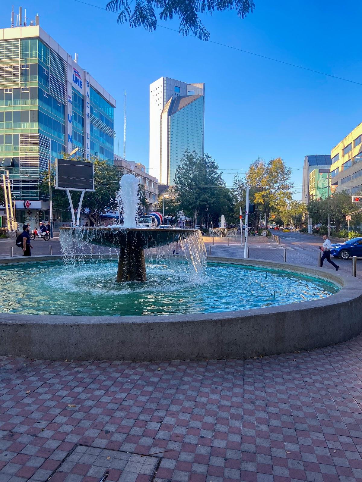 Corredor Cultural Chapultepec, Guadalajara, Jalisco. galería 9