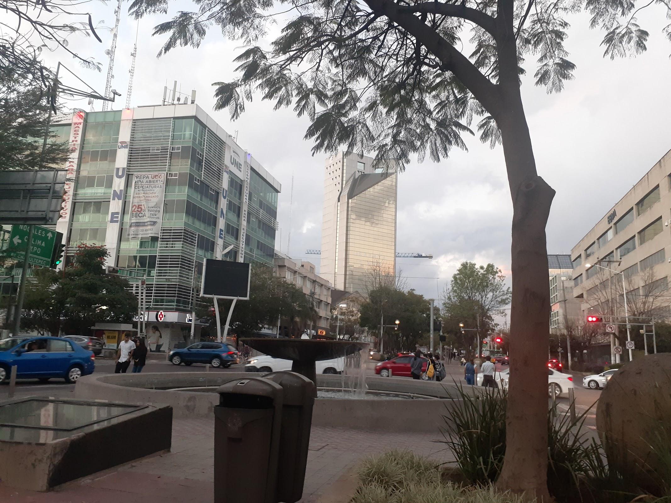 Corredor Cultural Chapultepec, Guadalajara, Jalisco. galería 10