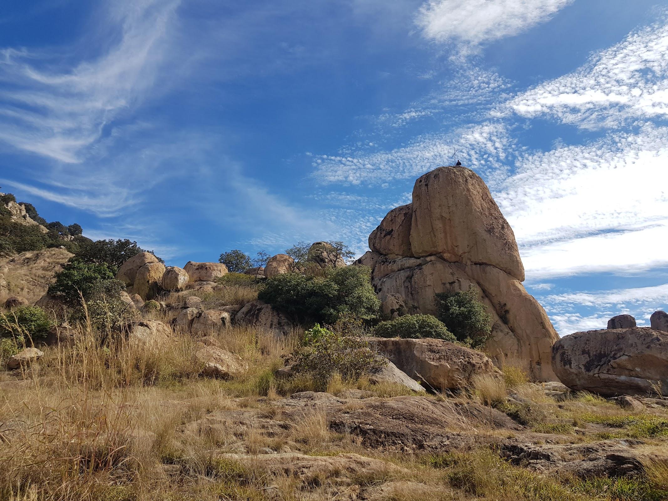 El Diente en Zapopan