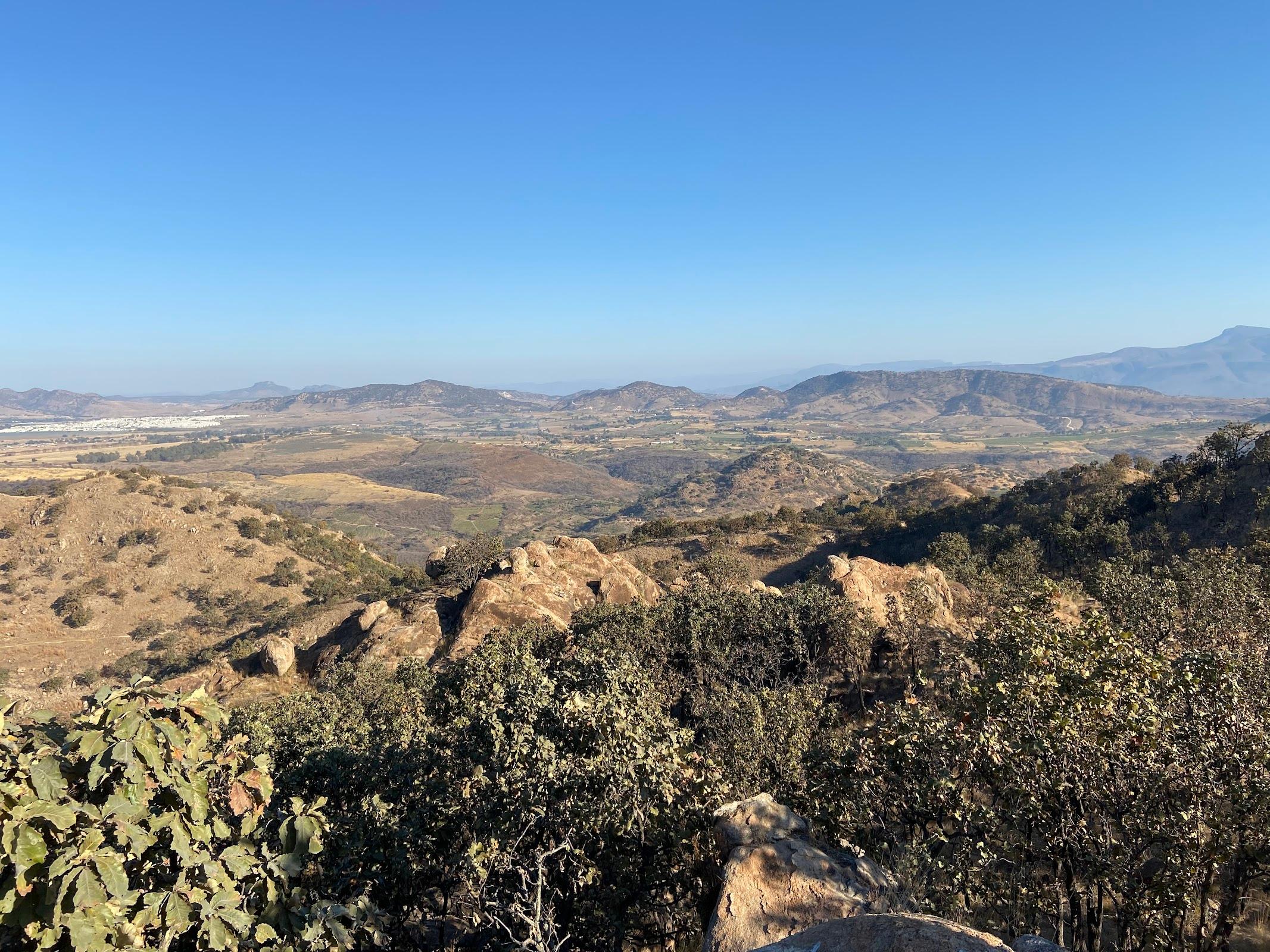 El Diente galería 5